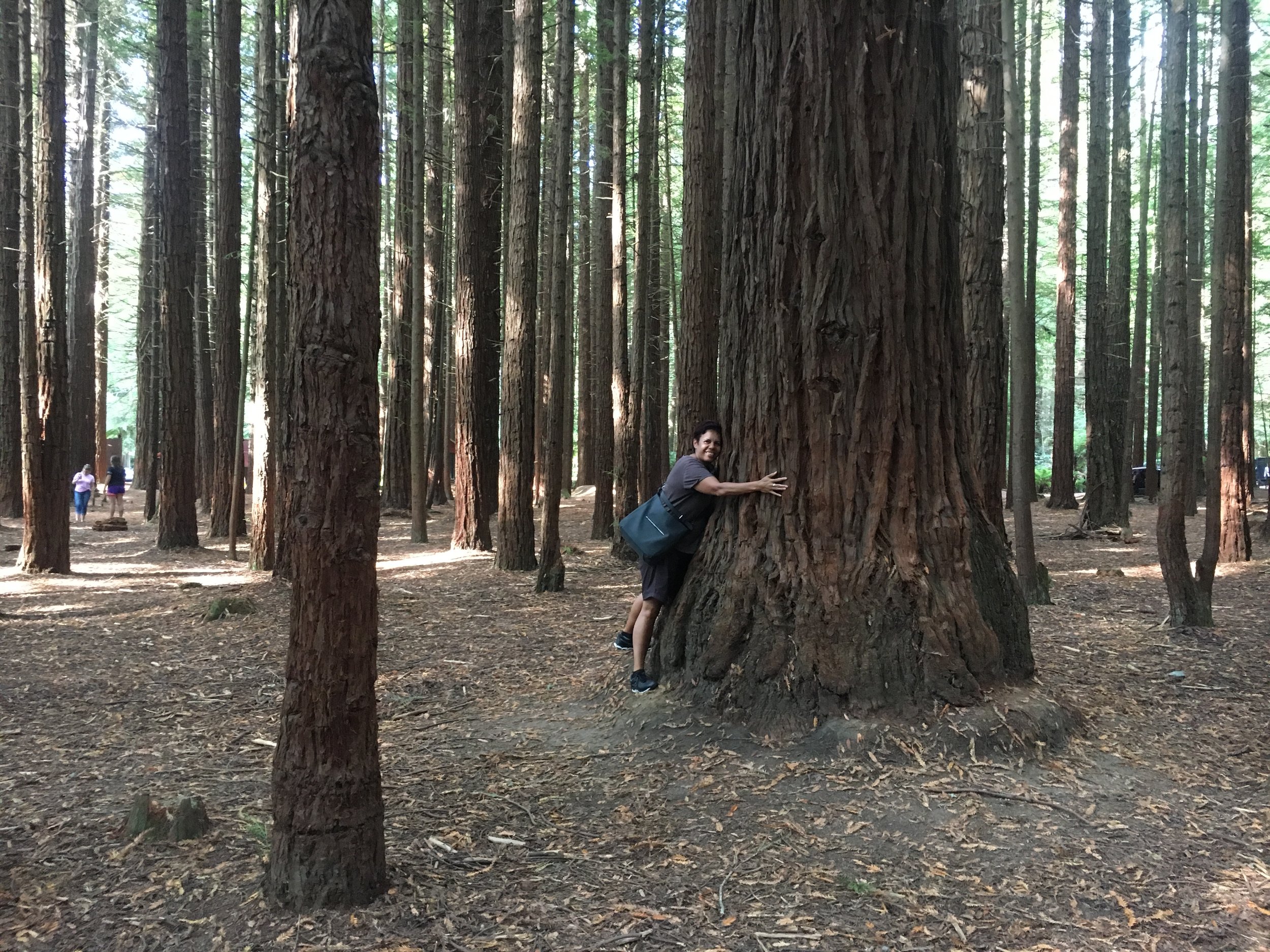 A woman hugging a large tree in a forest with tall trees in the background.