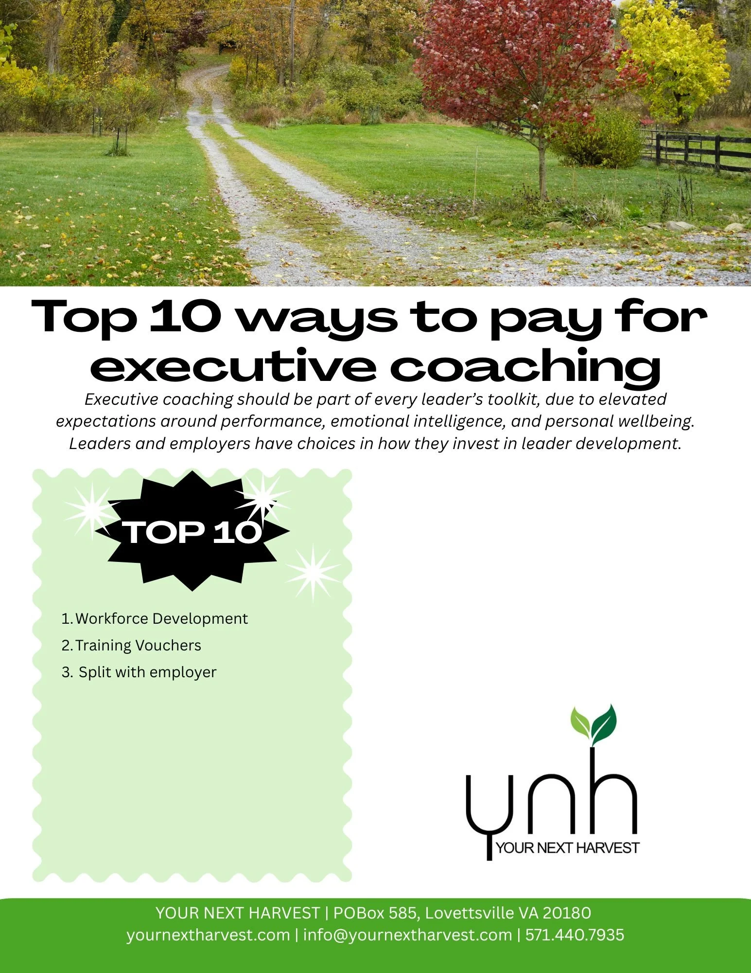 A landscape photo of a gravel driveway in a countryside setting, with green grass and colorful trees in autumn, under a cloudy sky.