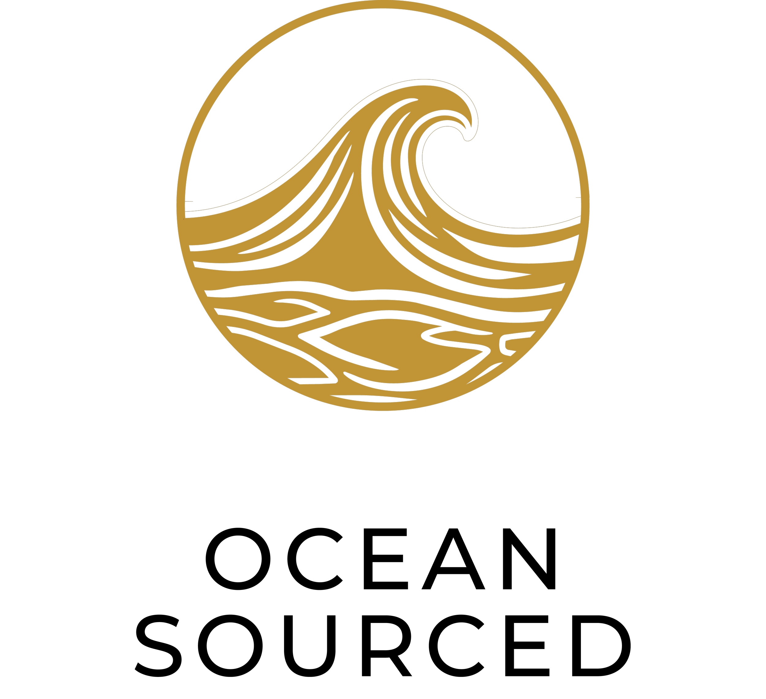 A stylized black and gold circular logo of a wave and surfboard.