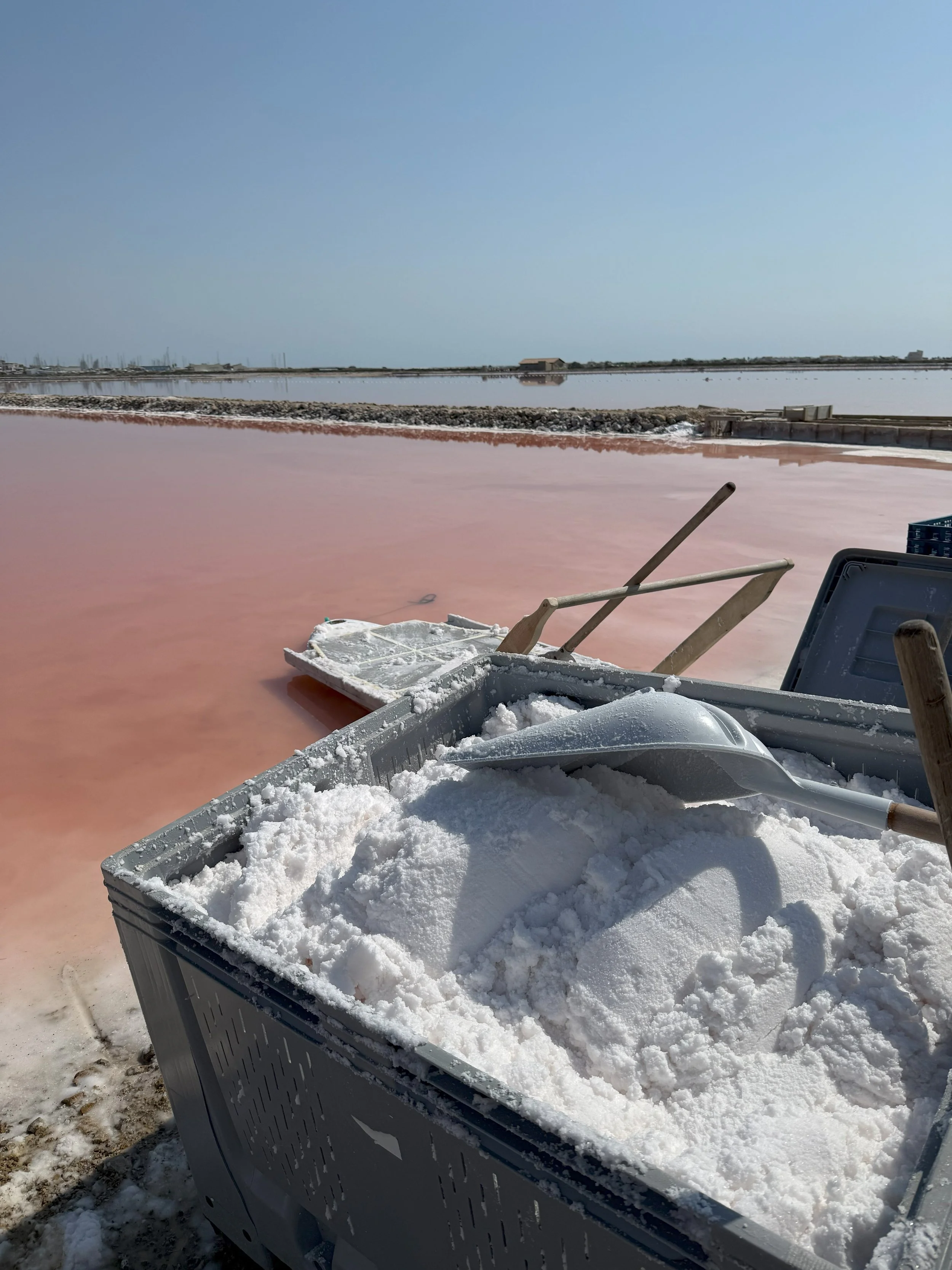 Fleur de sel.jpg