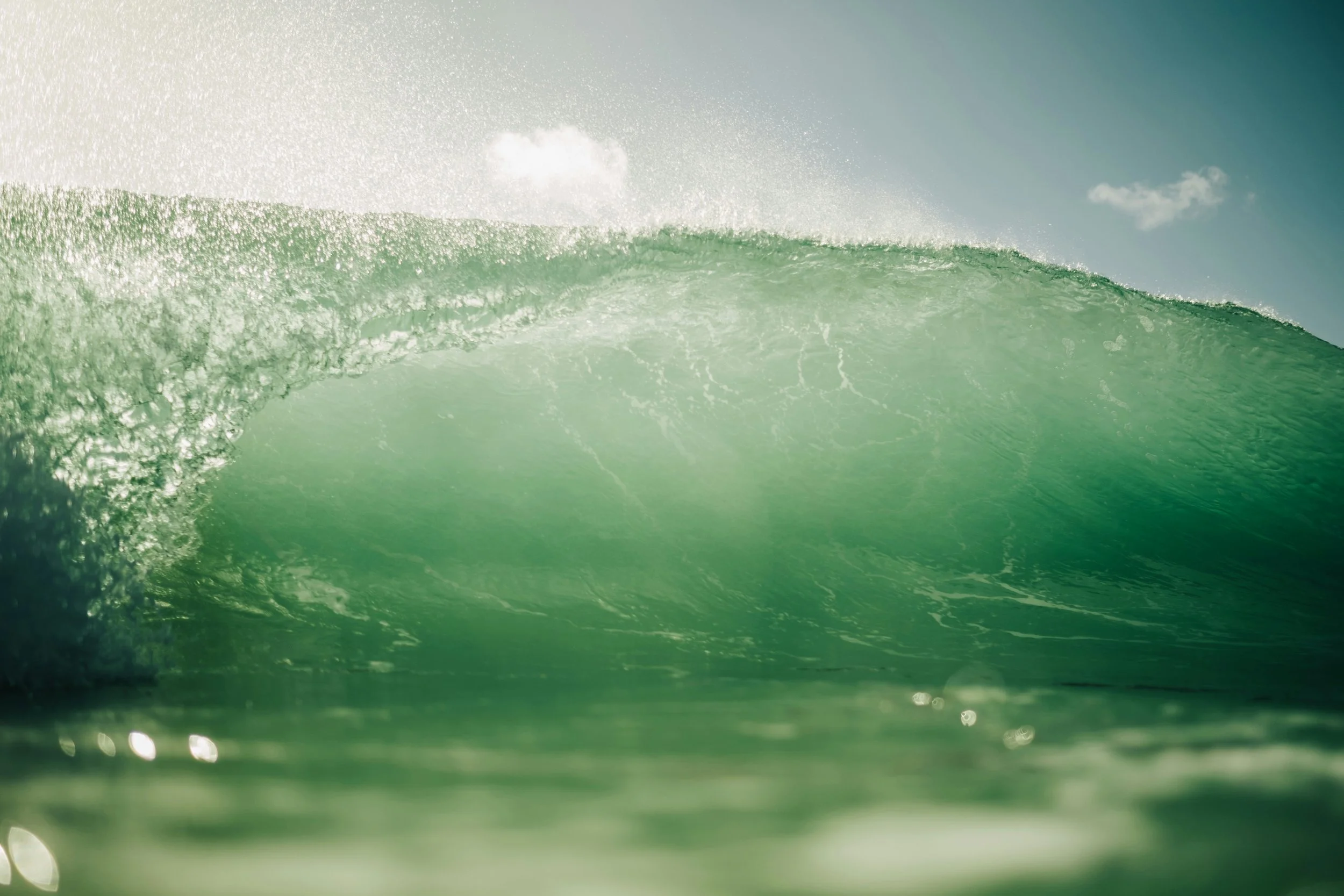 A large ocean wave with sunlight reflected on the water surface under a clear sky.