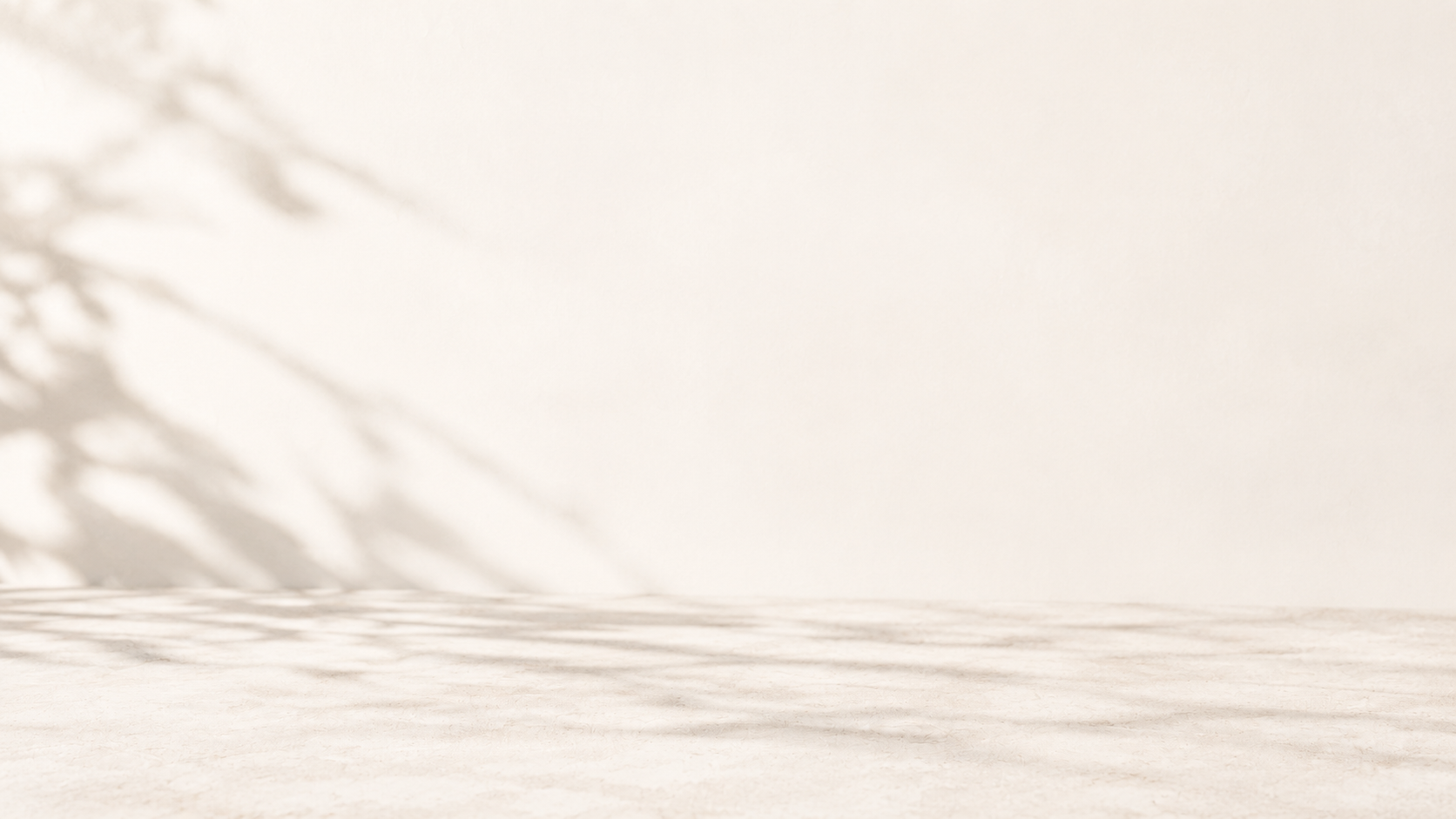 Bright, sunlit surface with soft shadows of plant leaves on a white wall.