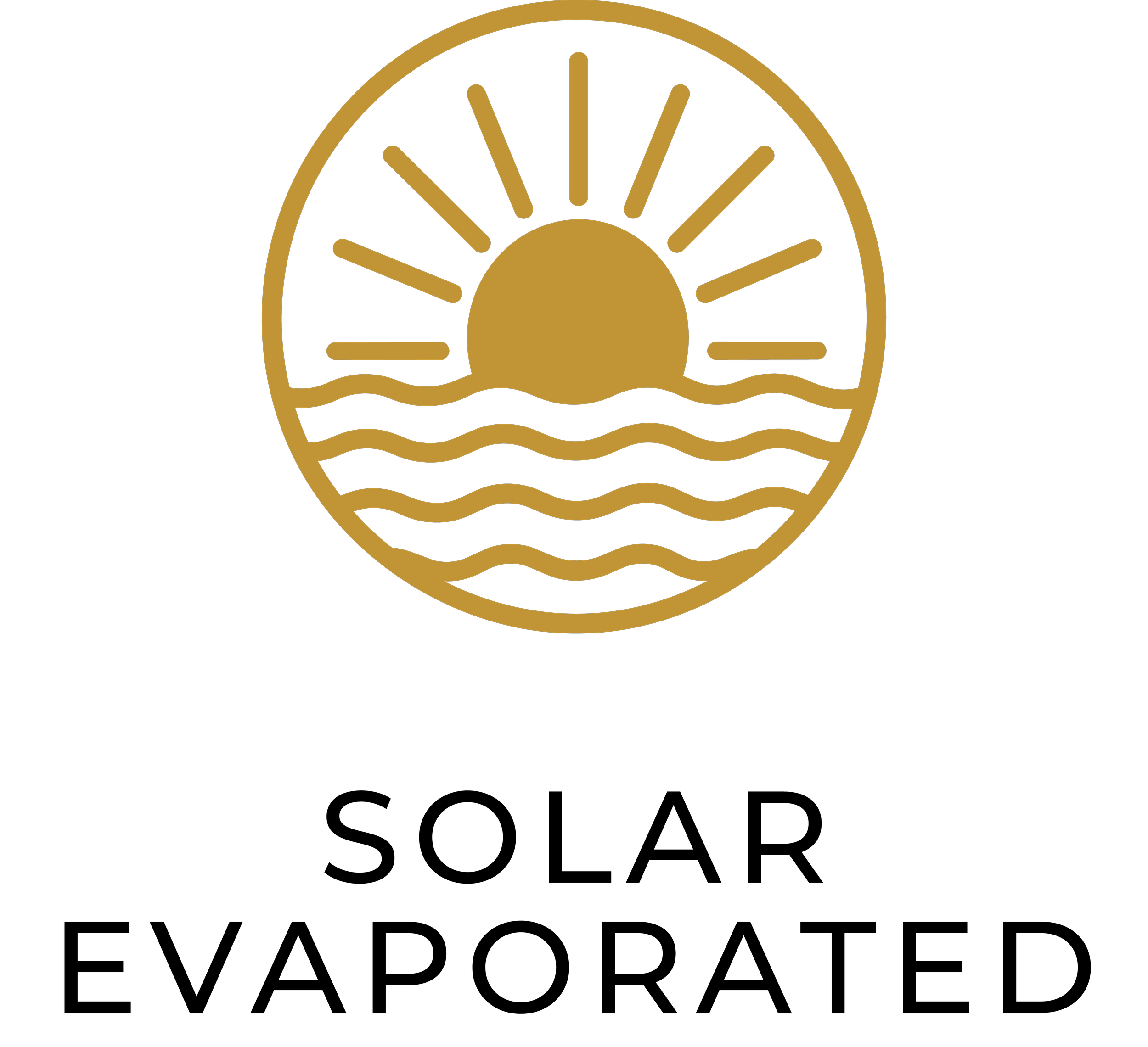 Gold outline logo featuring a rising sun above wavy water