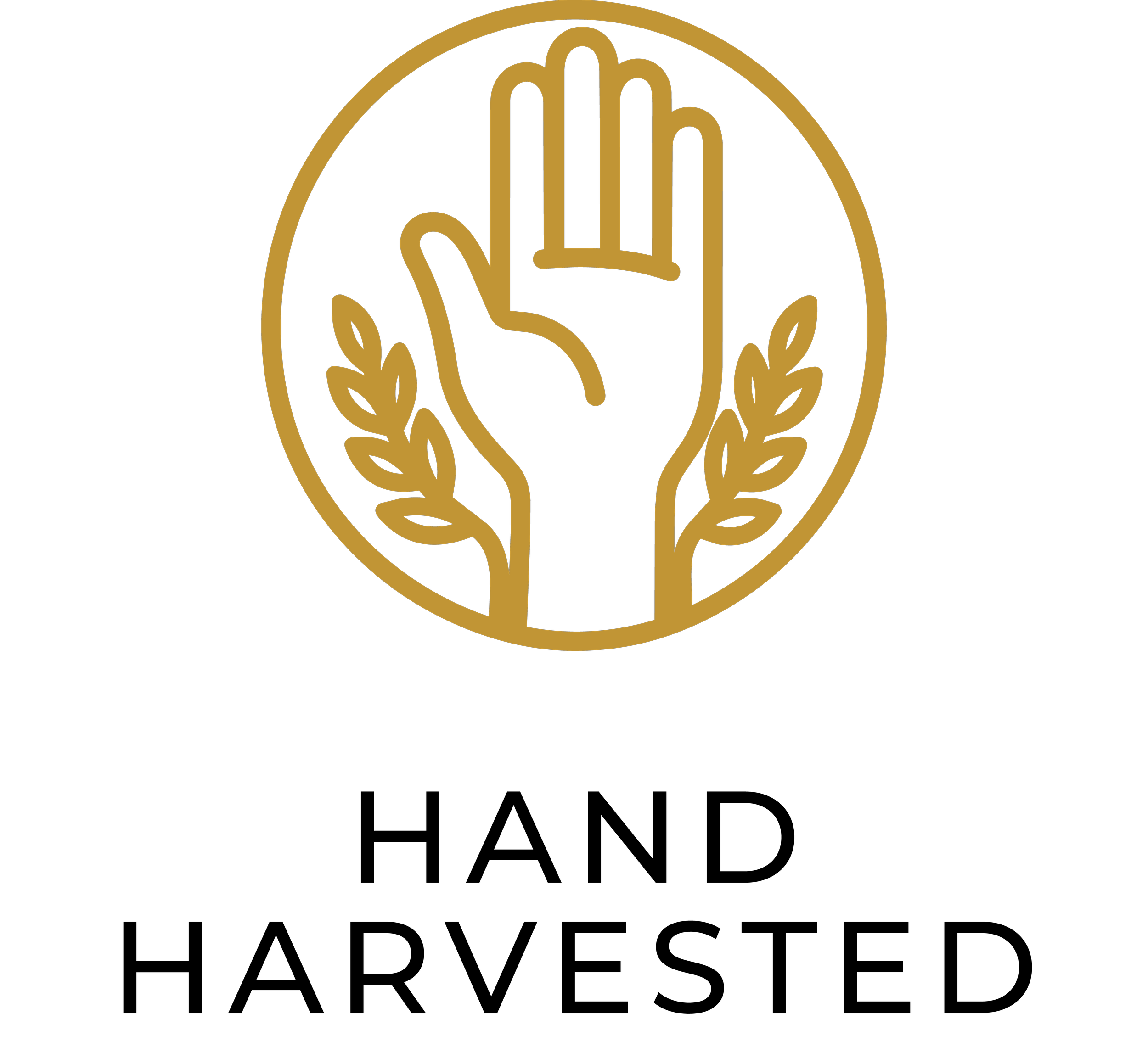 Gold emblem with a raised hand in the center, surrounded by laurel branches, on a black background.