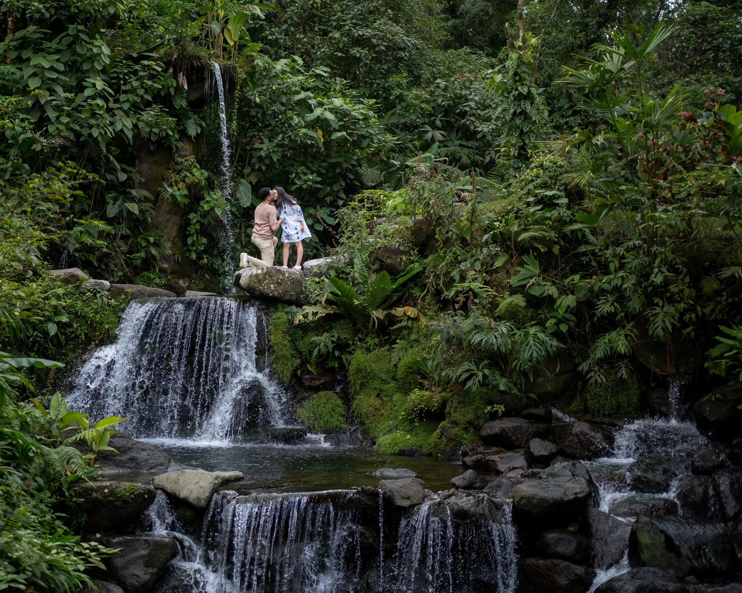 Proposal in natural ponds in La Fortuna Costa Rica