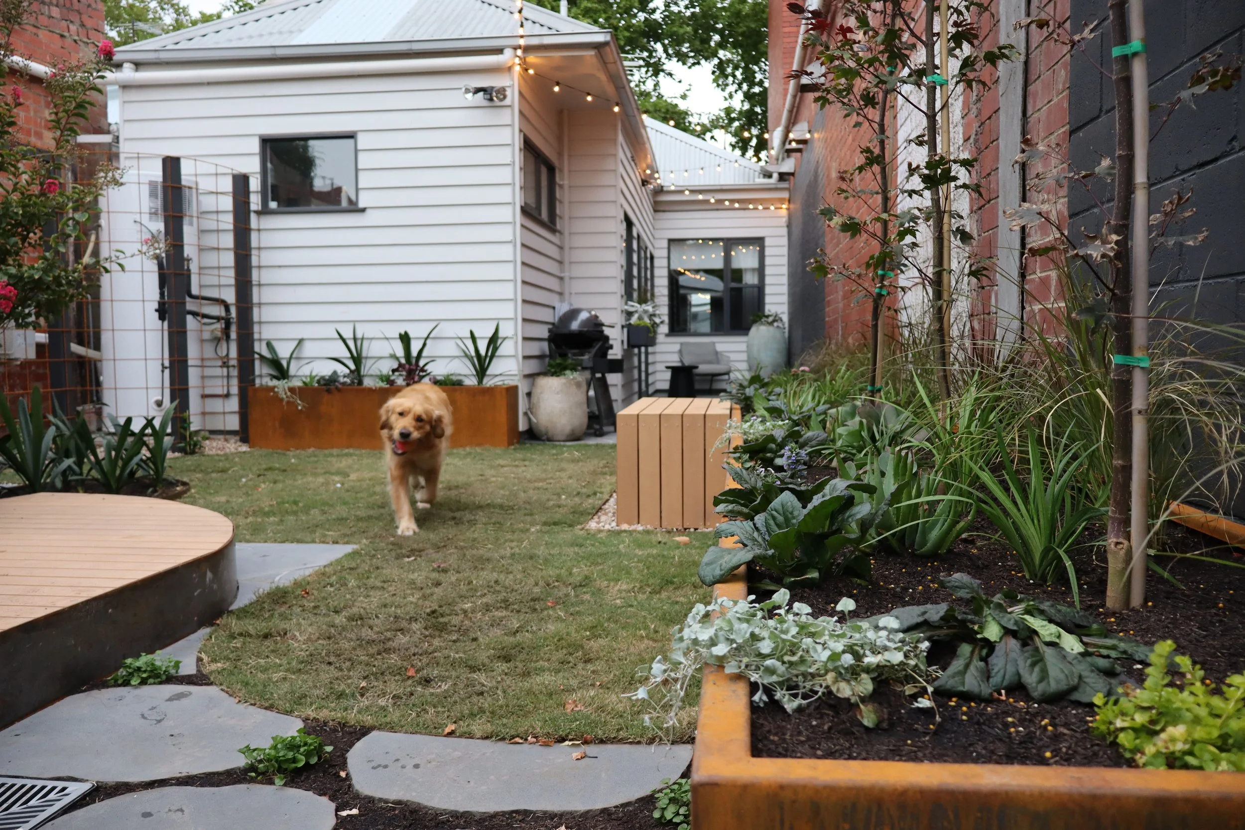 Small scale city garden designed for entertaining  