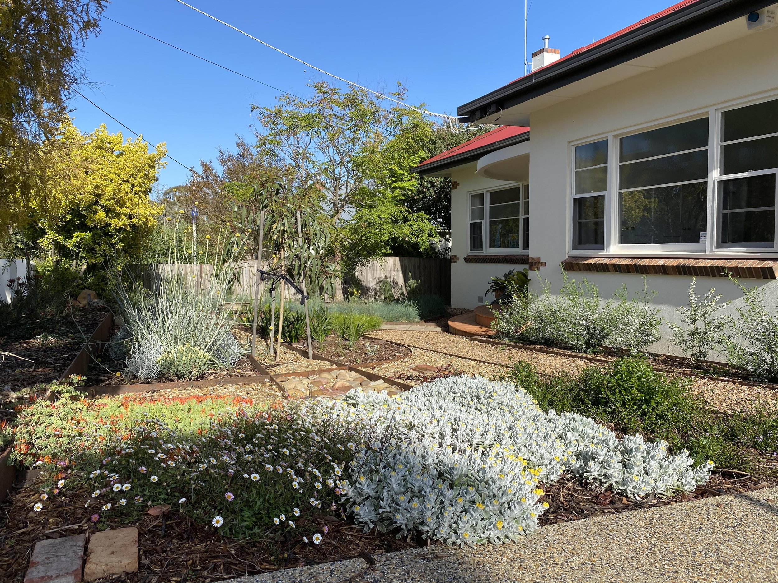 Native Australian landscape design in Central Victoria 