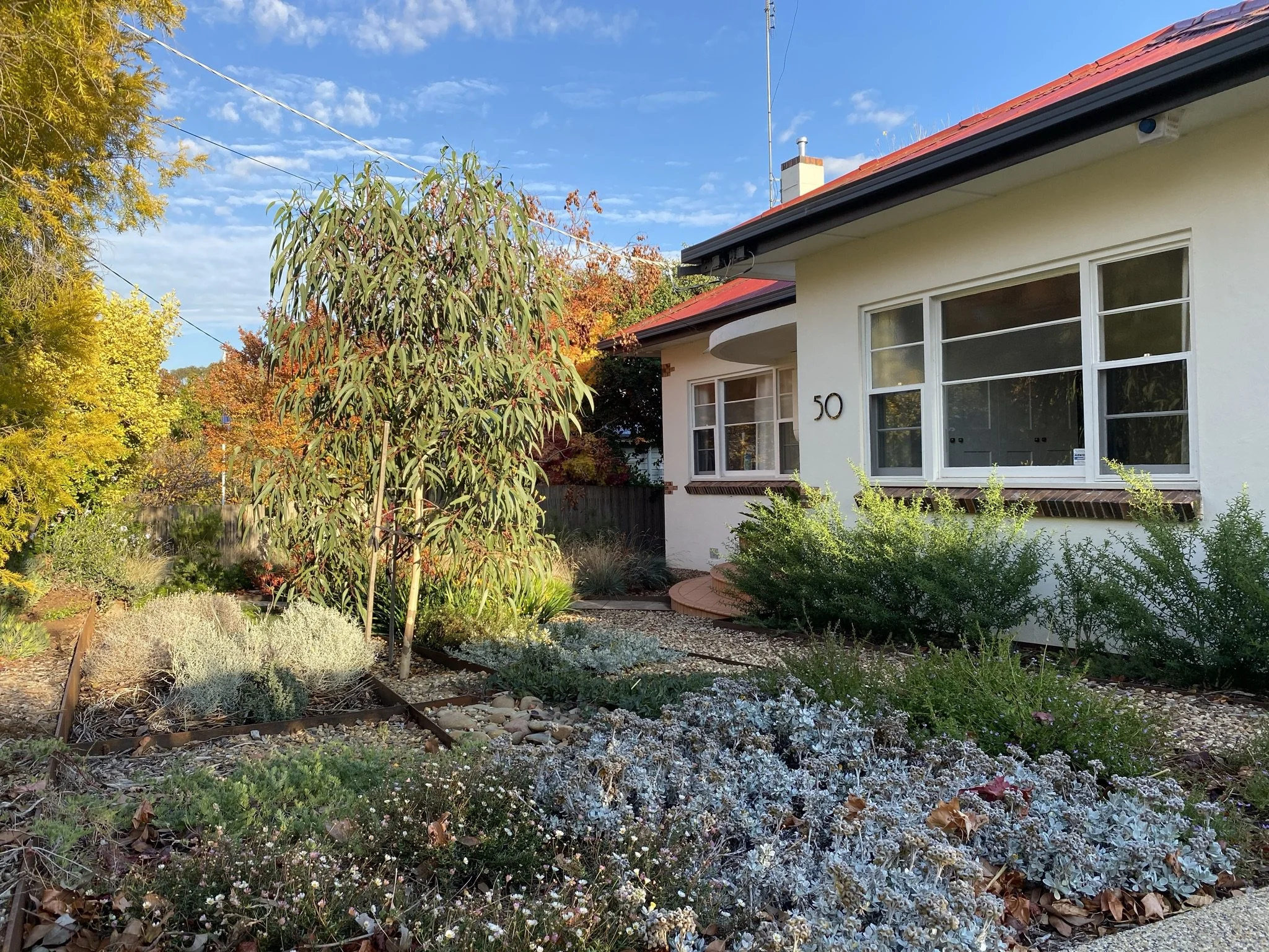 Native Australian landscape design in Central Victoria 