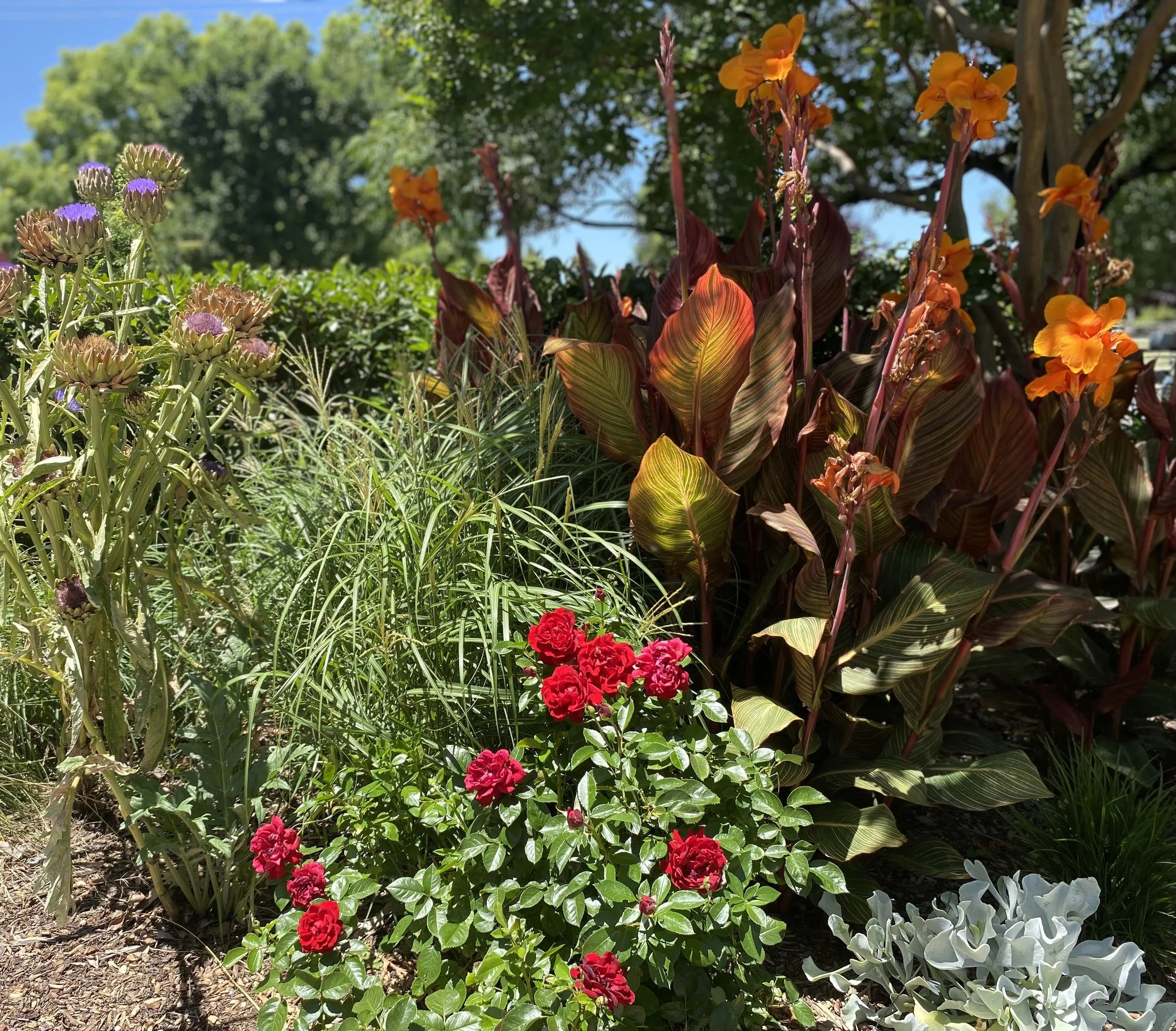 Planting design in the Goulburn Valley Region of Central Victoria