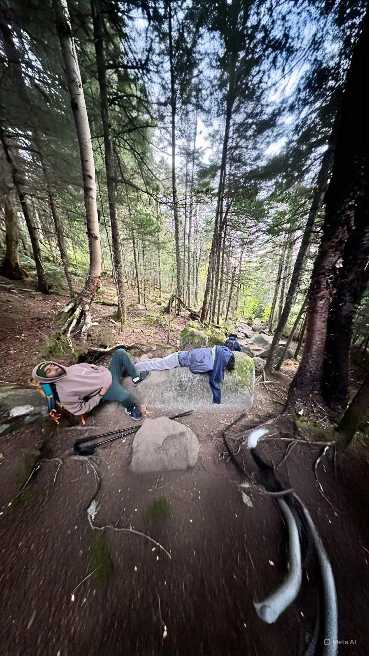 Two people resting on a large fallen tree in a forest, surrounded by tall trees and rocky terrain.