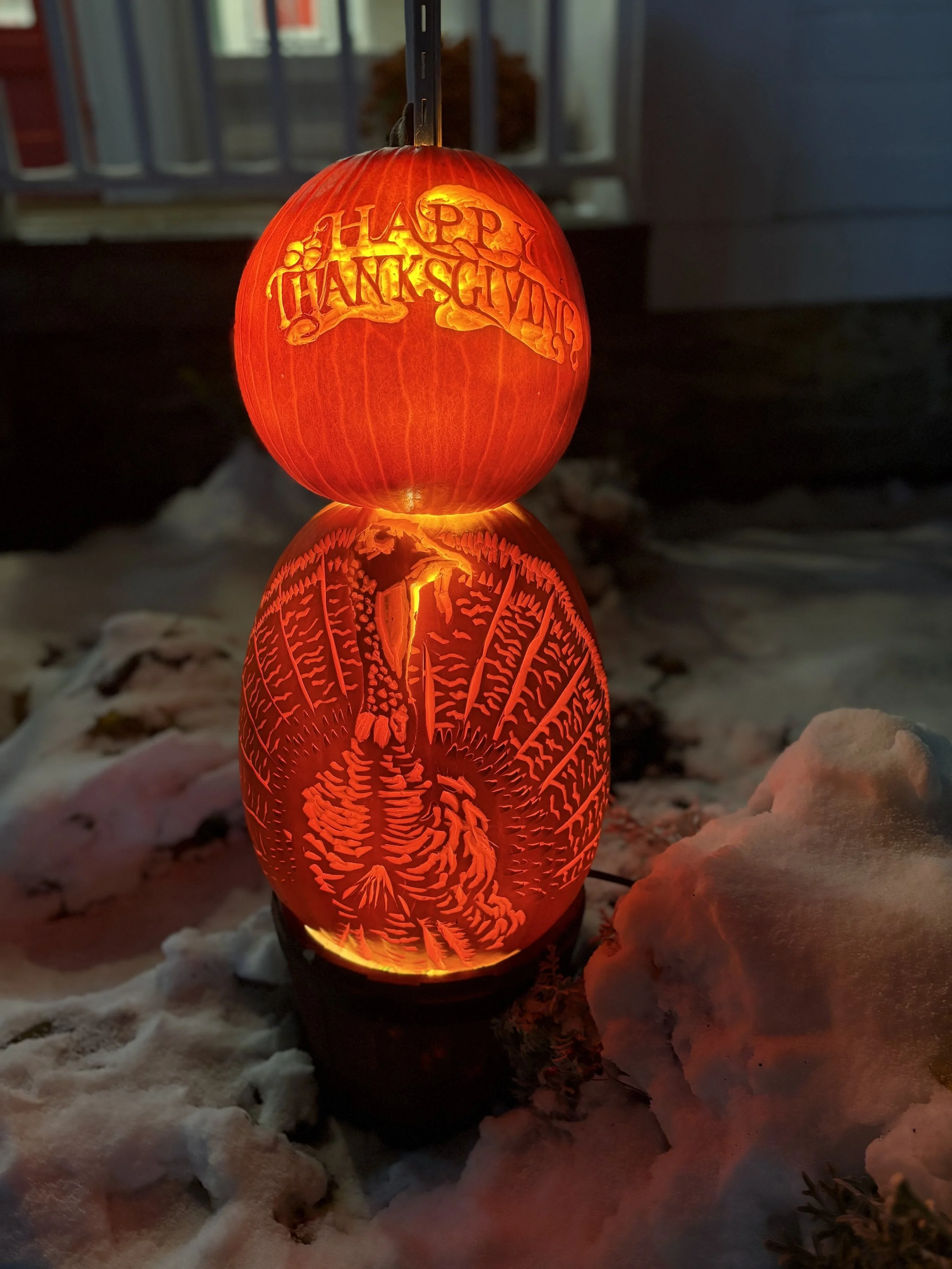 Thanksgiving Pumpkins.jpg