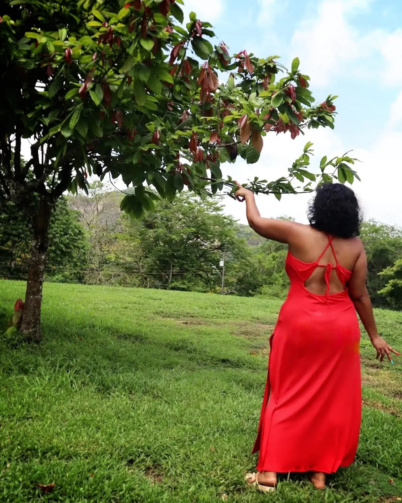 Since we are still talking drinks, let&rsquo;s begin today&rsquo;s foodie talk with chocolate! Nature is filled with delicacies but how many of us know its true form? #cocoatea starts with this tree 
📸 @normalnormalfilms
