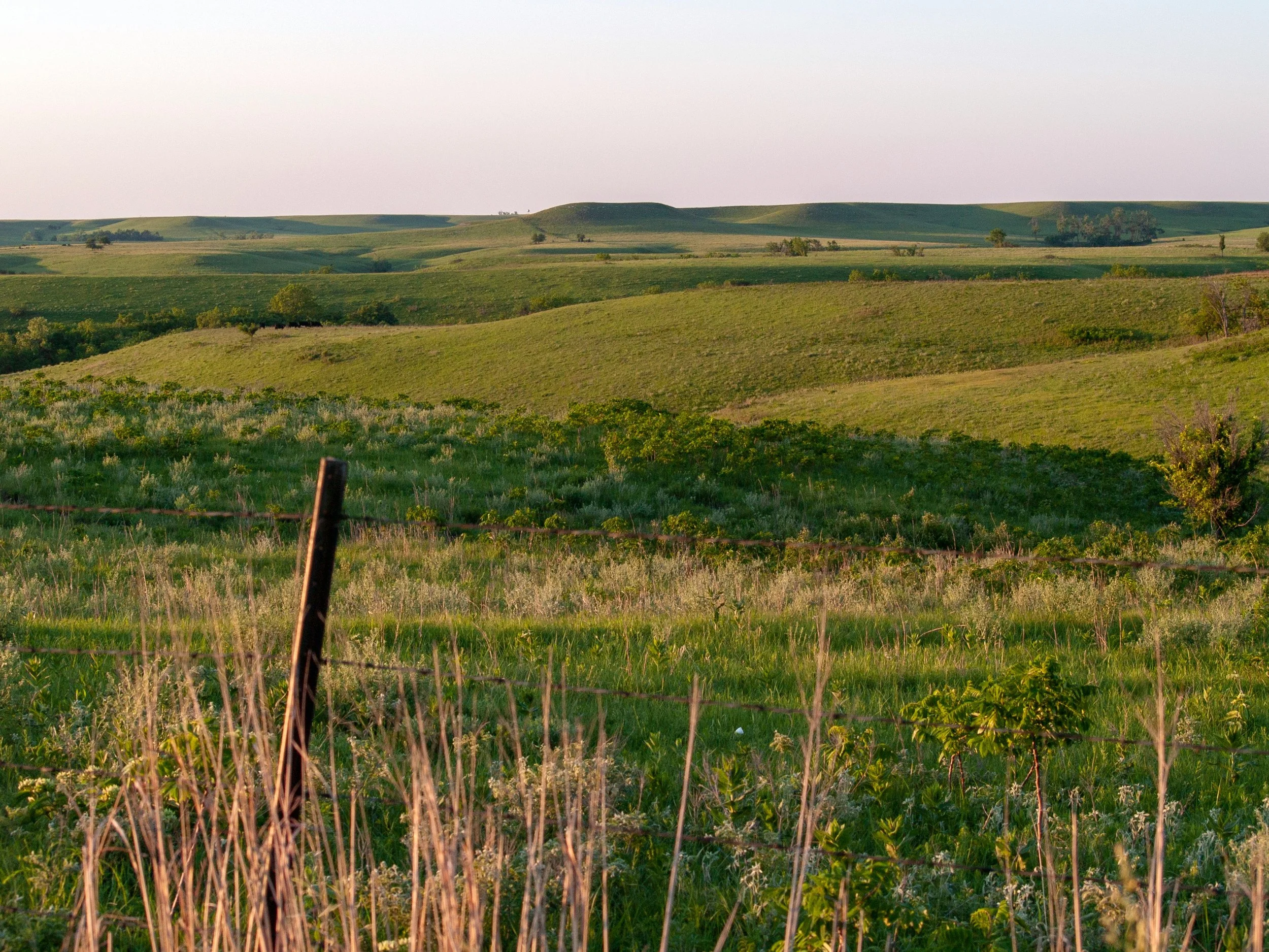 Rolling green hills and fields with scattered trees, a barbed wire fence in the foreground, and a pinkish sky at sunset.