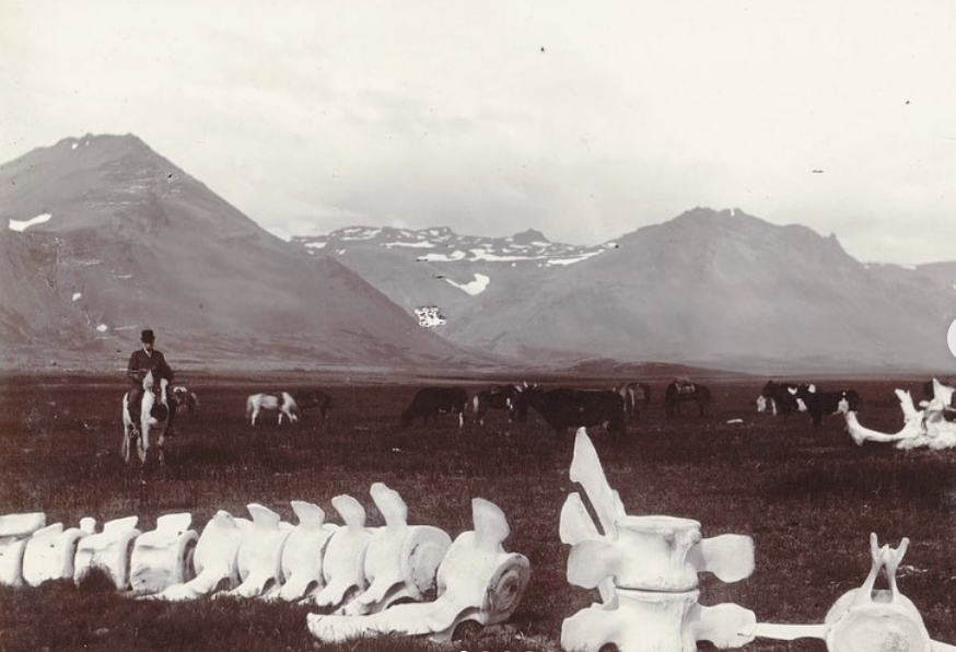 I Write the Days in Green