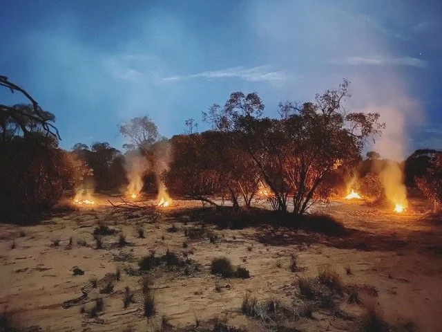 beb707d5-7b11-4d9a-aa26-2fd447f77642 6.jpeg