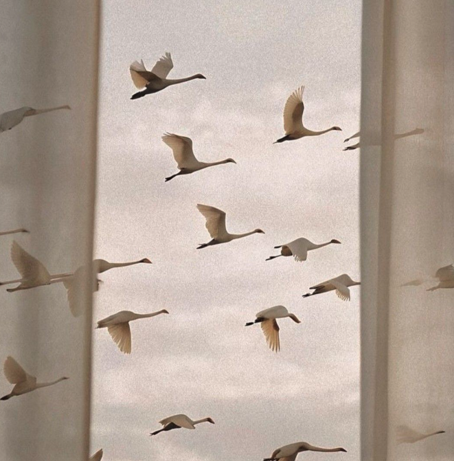 Corporate, Education & Policy Consulting