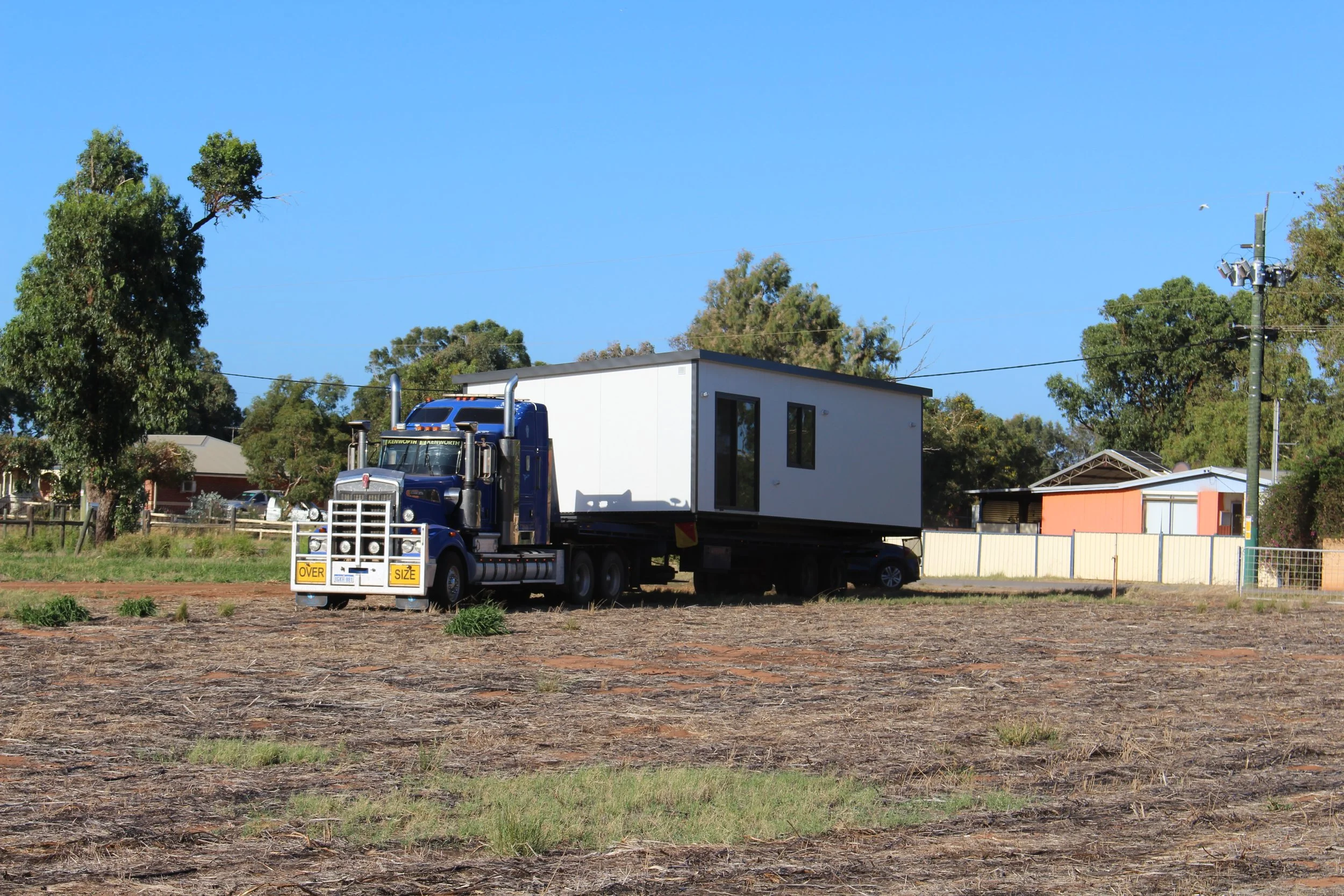 A blue semi-truck with a white container trailer parked on a yard with brown grass and patches of green, under a clear blue sky, with trees and houses in the background.
