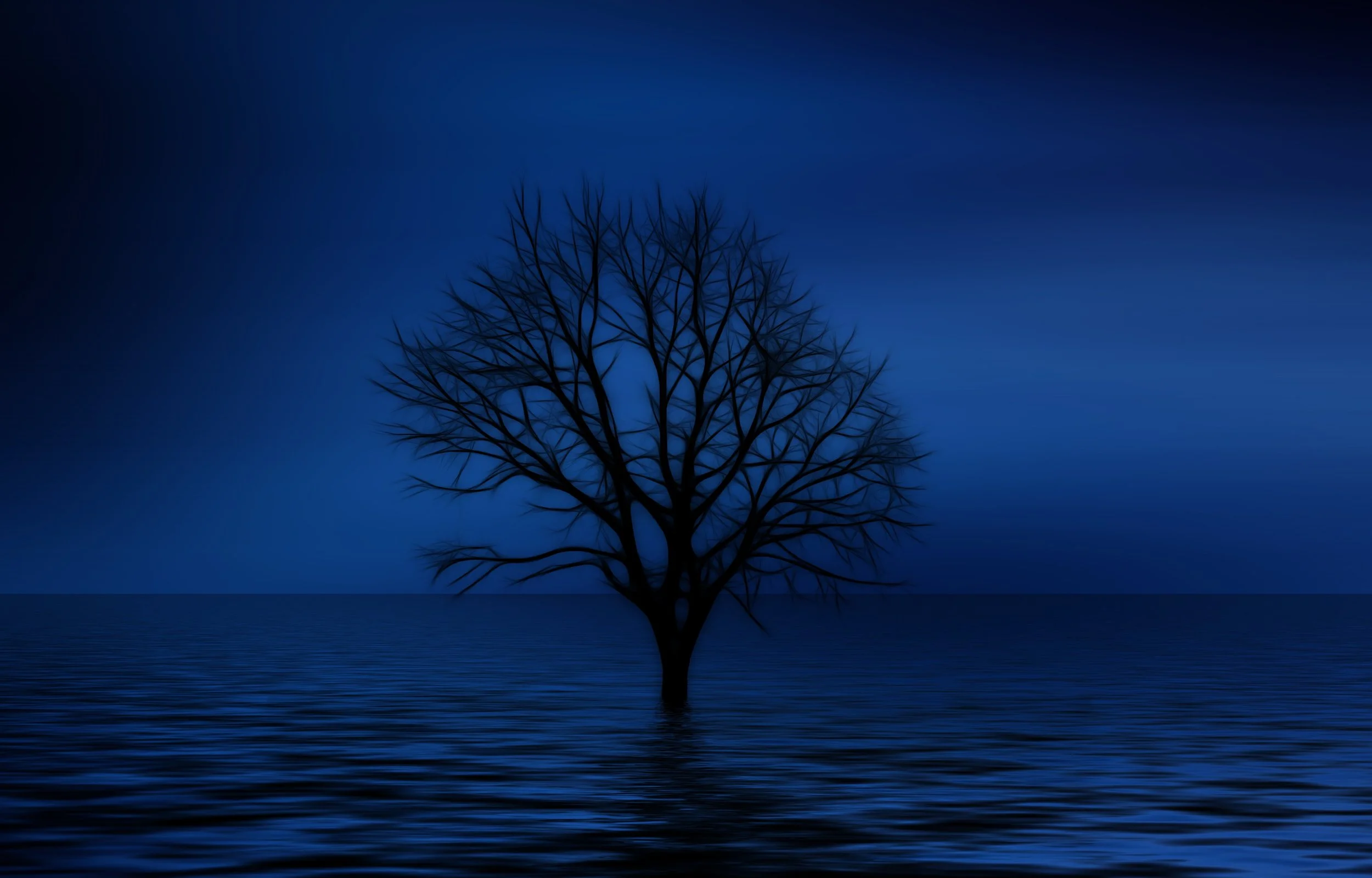 How Often Do I Need to Go To My Psychologist?