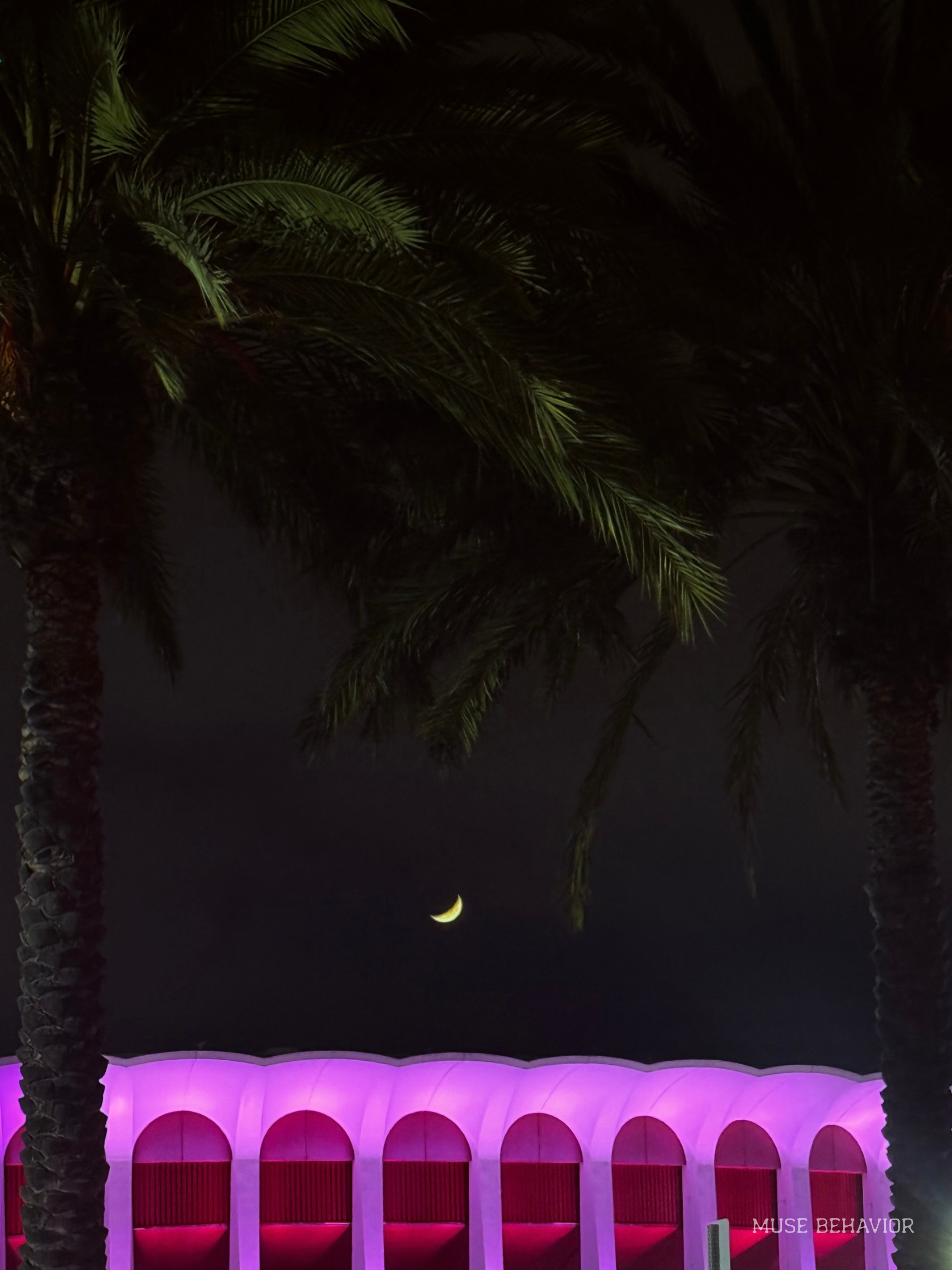 pink NYC.png