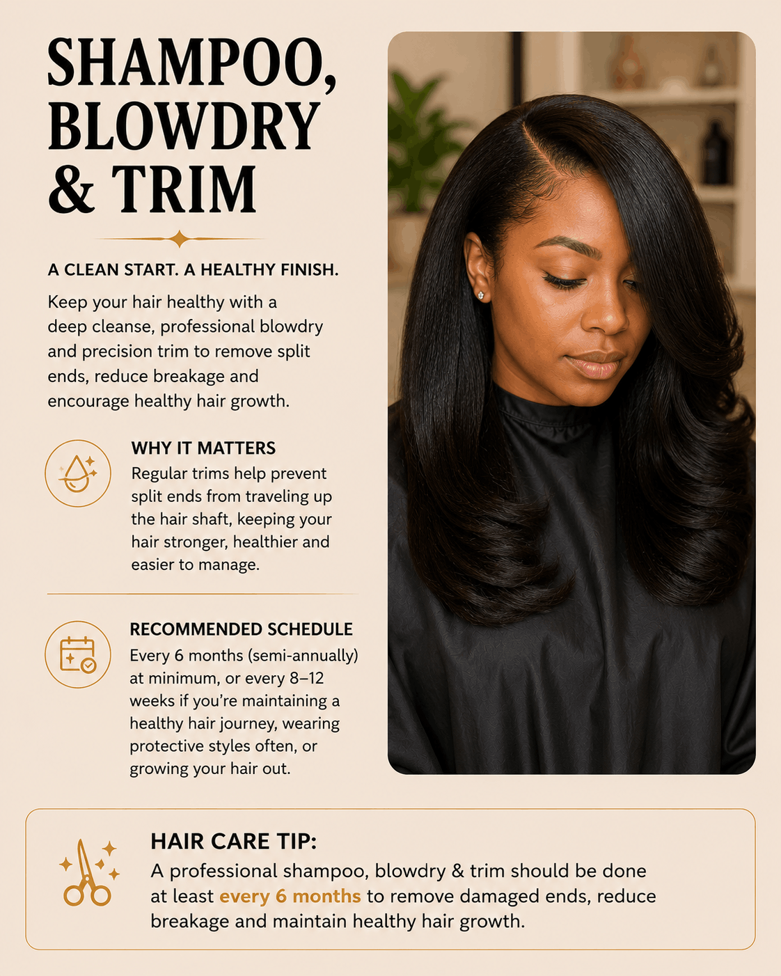 A promotional poster about shampoo, blowdry, and trim services featuring a woman with long, shiny black hair styled in loose curls, sitting in a salon. The poster includes text about hair care benefits, scheduling, and tips.
