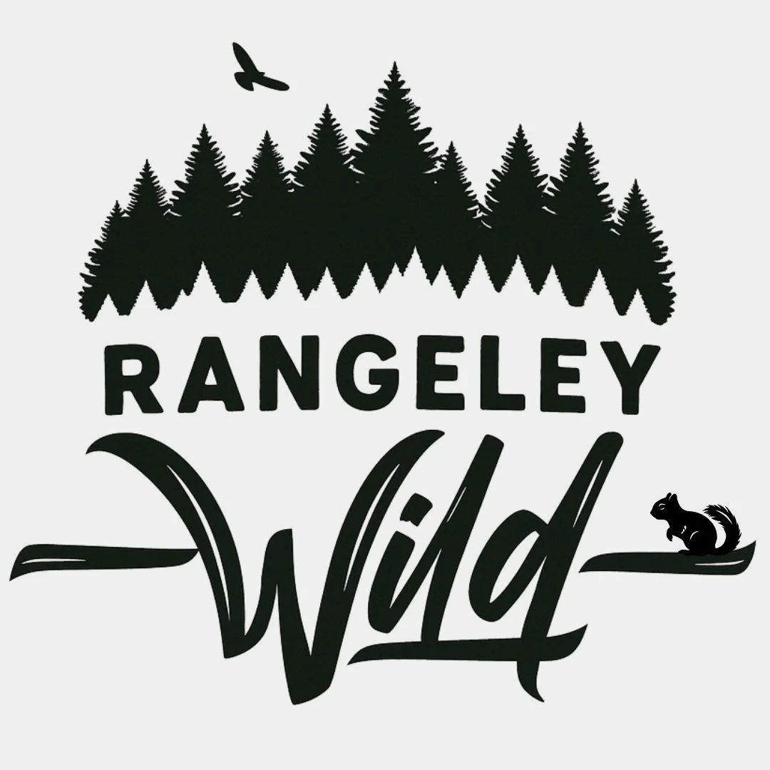 Rangeley Wild