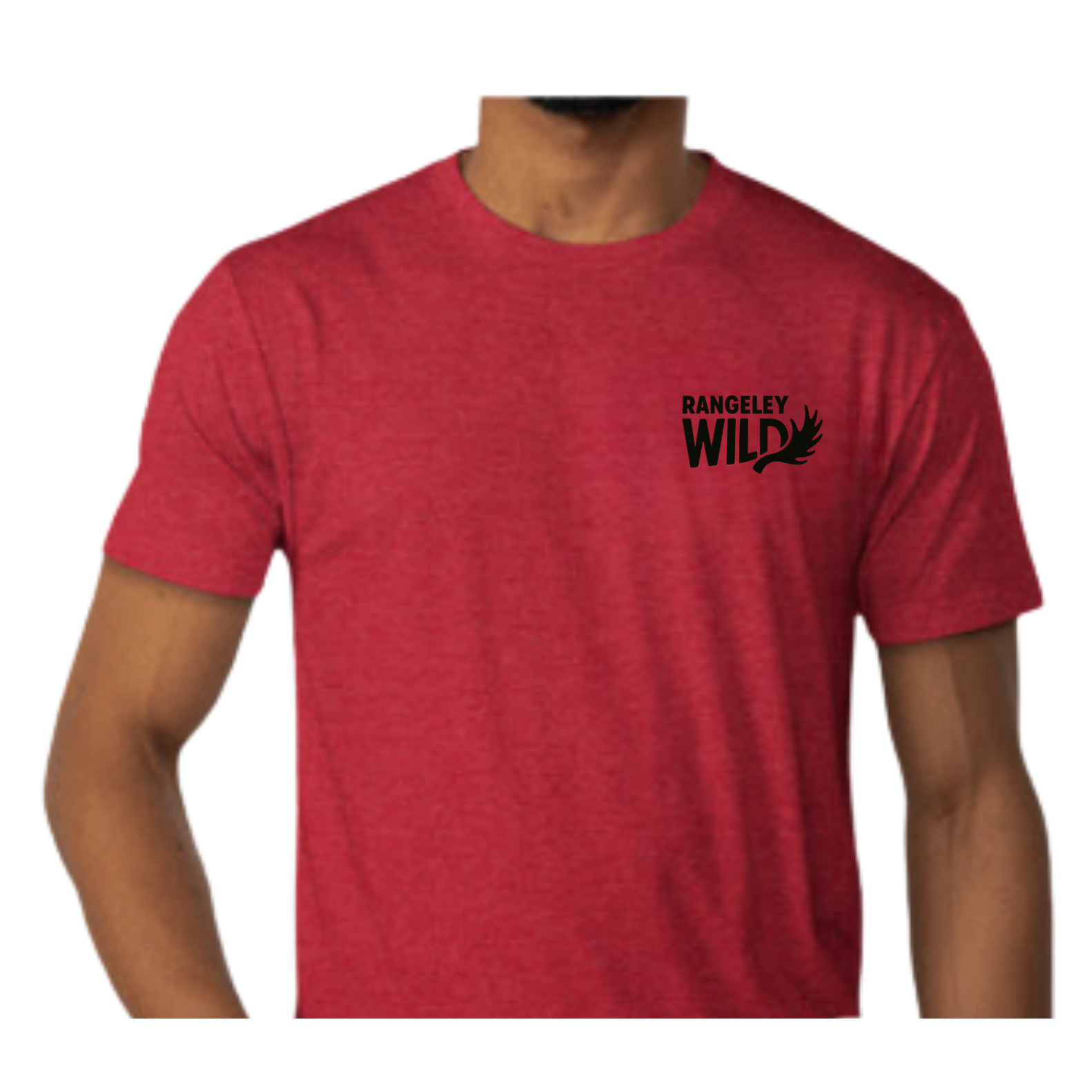 Untitled design (7).png