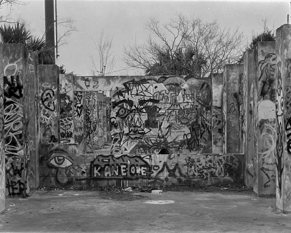 SAVANNAH ON FILM