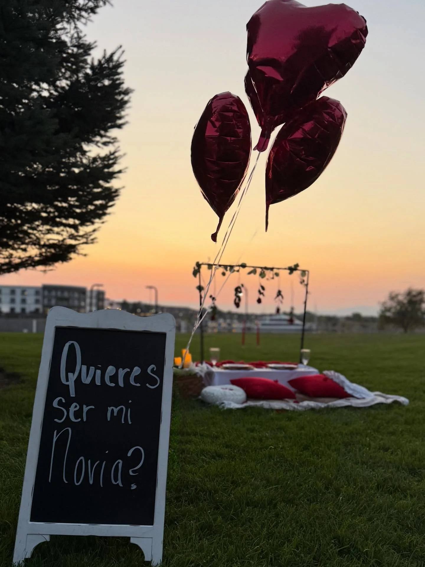 The Perfect Proposal is just around the corner,don&rsquo;t wait to ask that special someone 🥹 🕯️ 🌹
