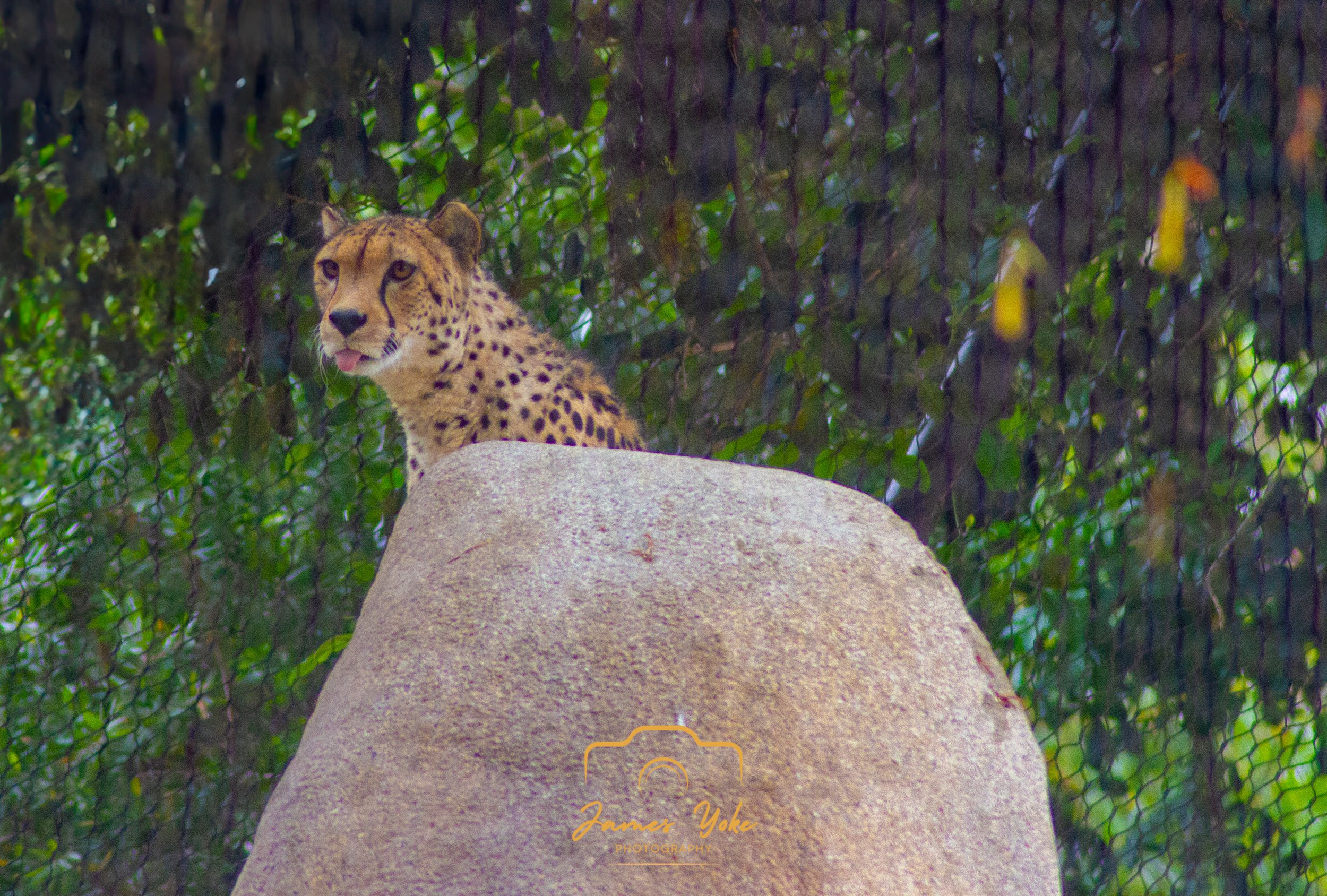 IMG_0343-Edit.jpg