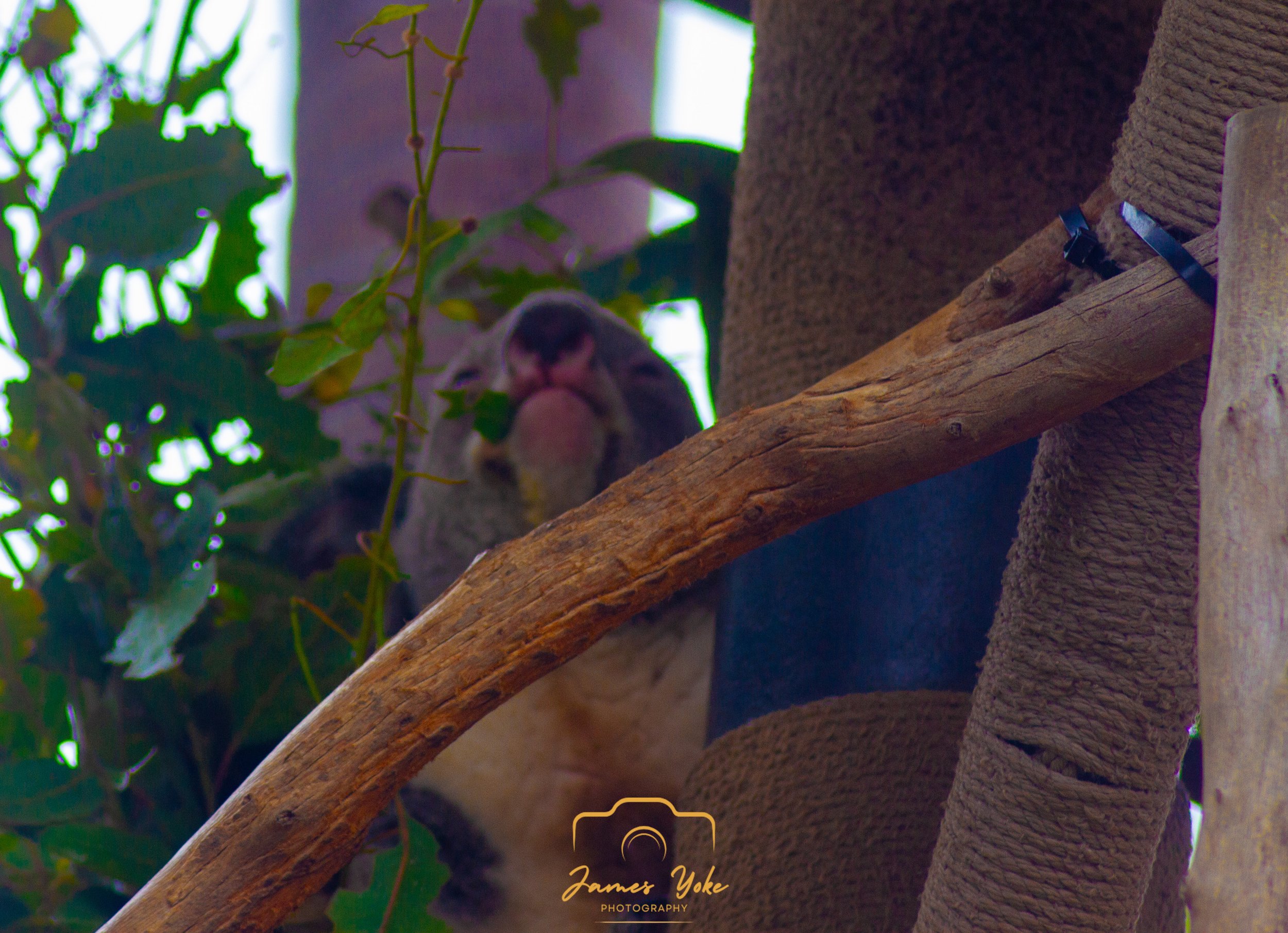 IMG_0191-Edit.jpg