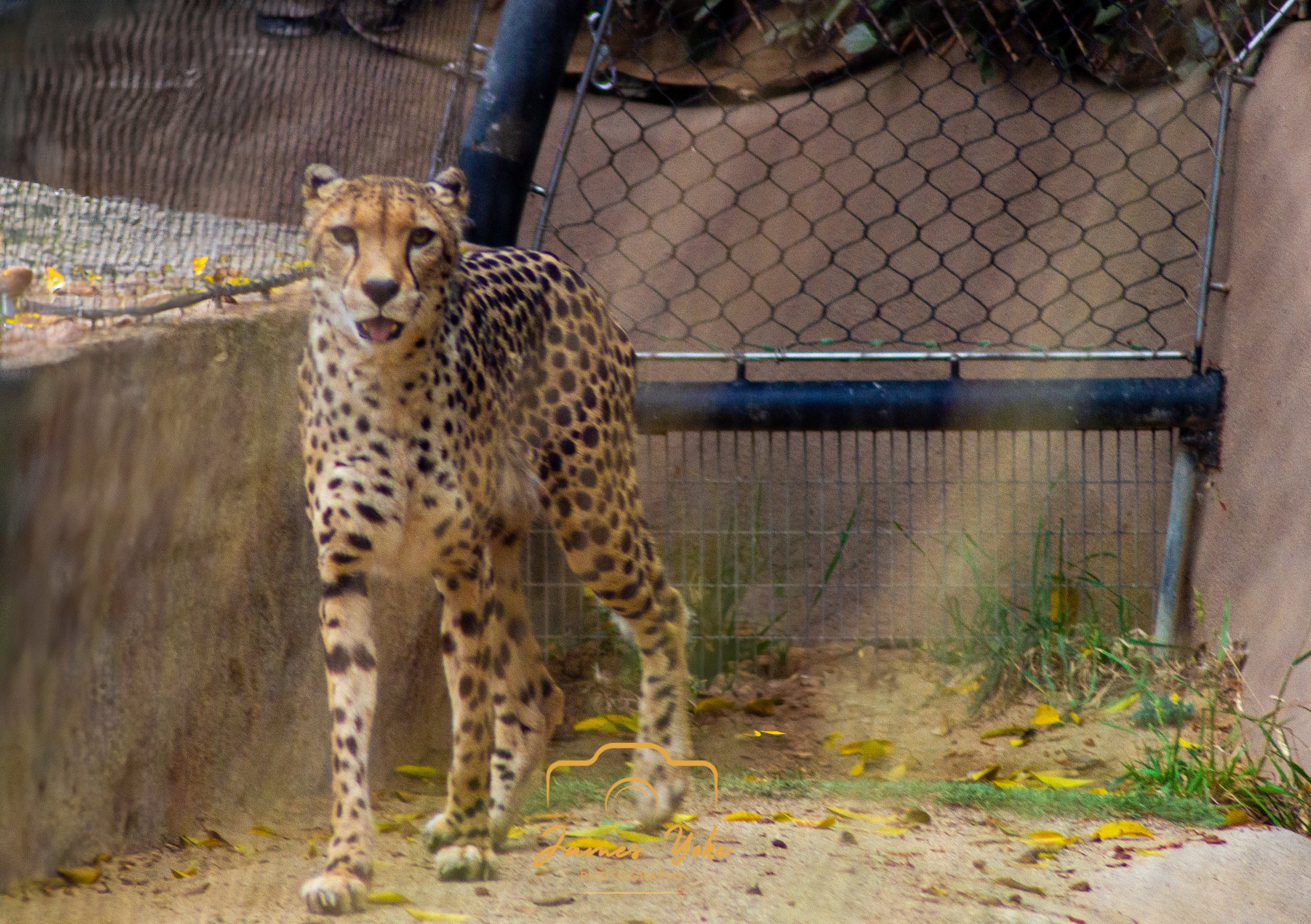 IMG_0348-Edit.jpg