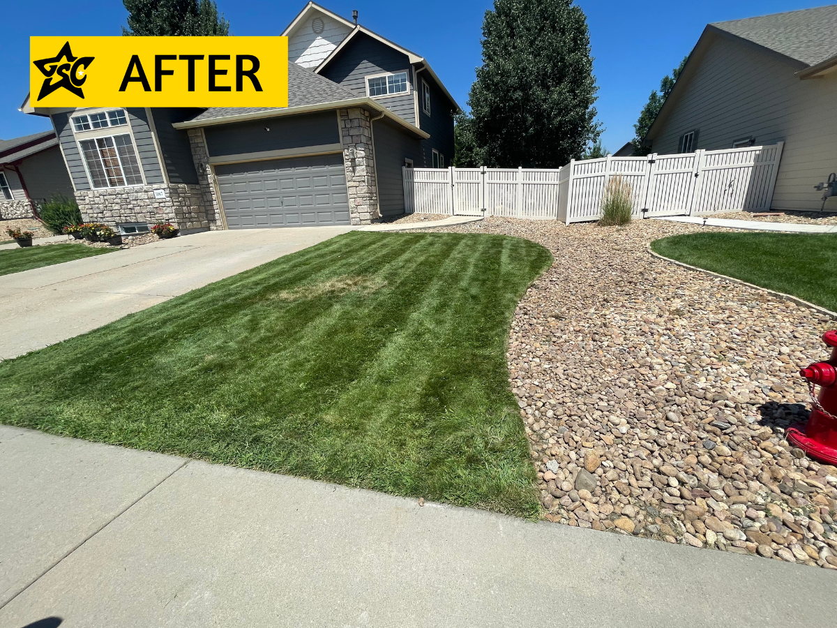 After emilys yard.png