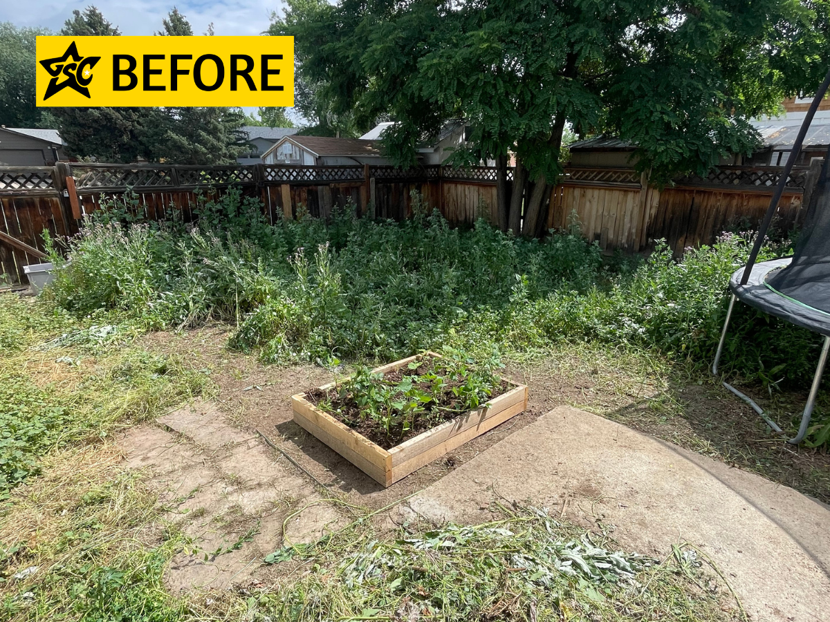 Before left audrey.png