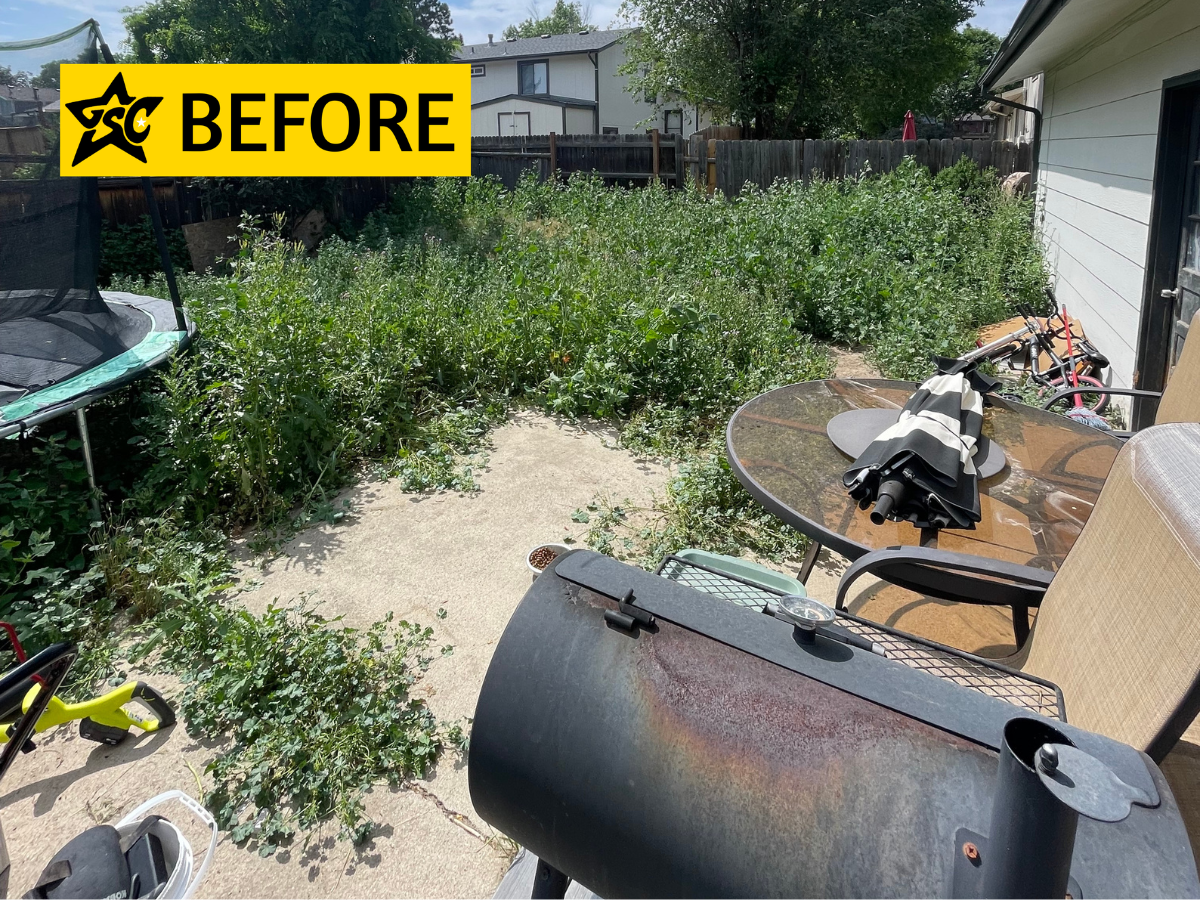 Before right side audreys.png