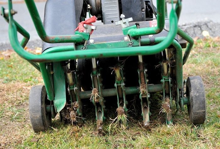 Aeration & Overseeding
