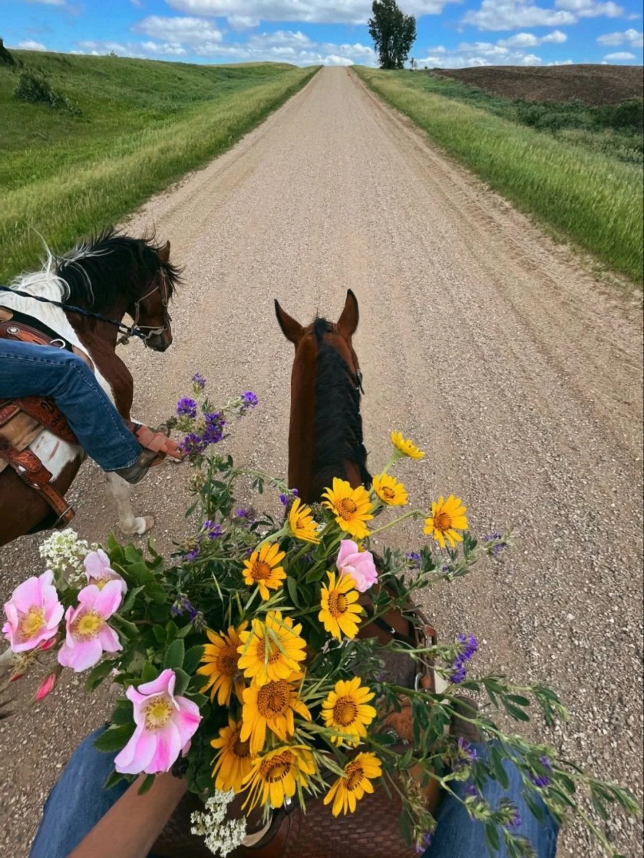 Cowgirl Spring 🌷🐴
Spring drop loading&hellip;