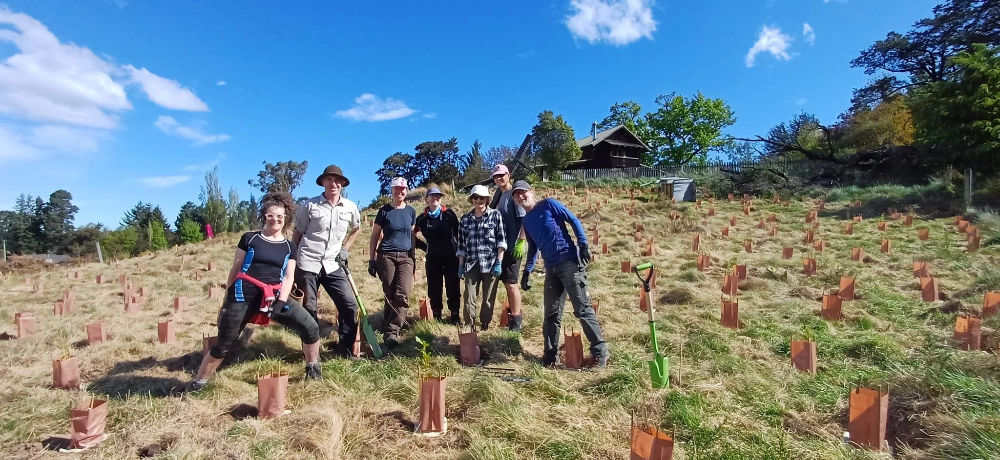 Group of people planting small trees in a field under a blue sky with some clouds, hills, and a house in the background.