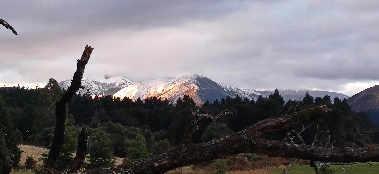 Snow-capped mountains under a cloudy sky with a fallen tree in the foreground.