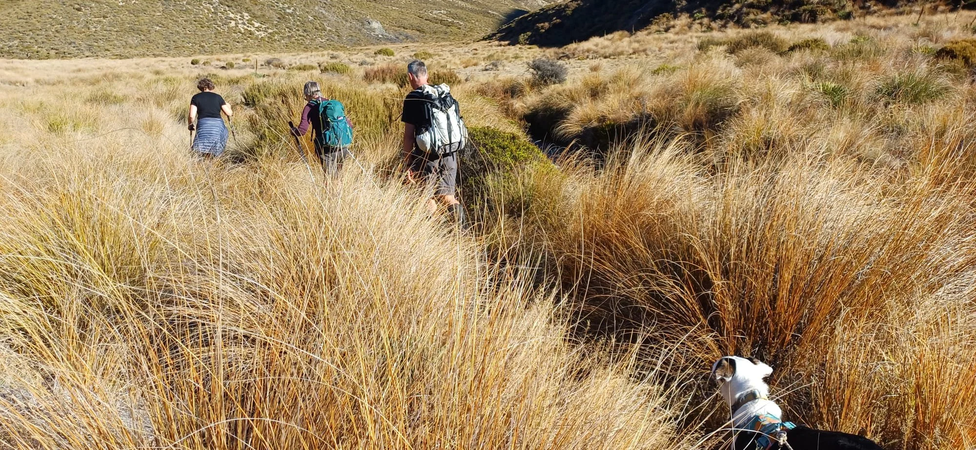 Walking towards Trig M, accessible from Porters Pass