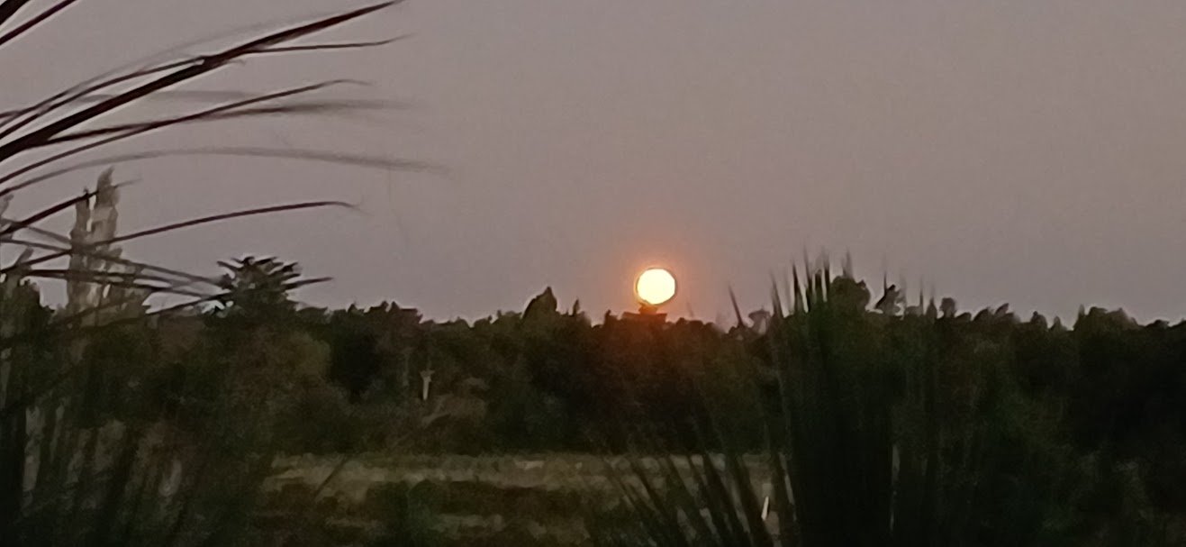 View from Fantails Rest of a full moon rising to the east
