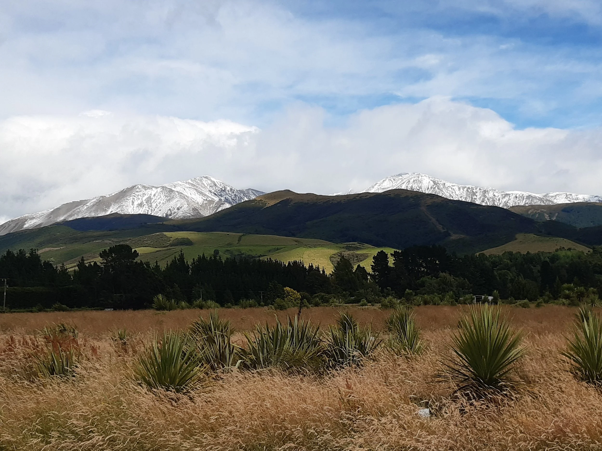 Driving towards Fantails Rest, with view to the Torlesse Range