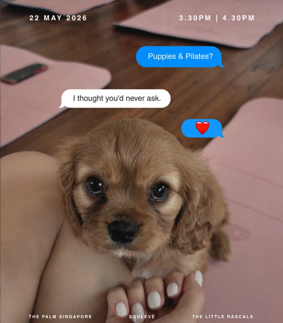 PUPPIES &amp; PILATES