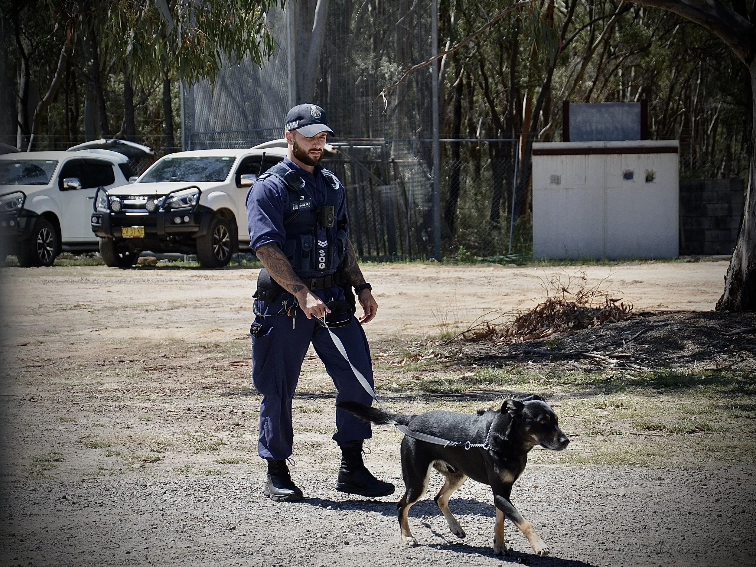 Experienced professional with K9 handling background