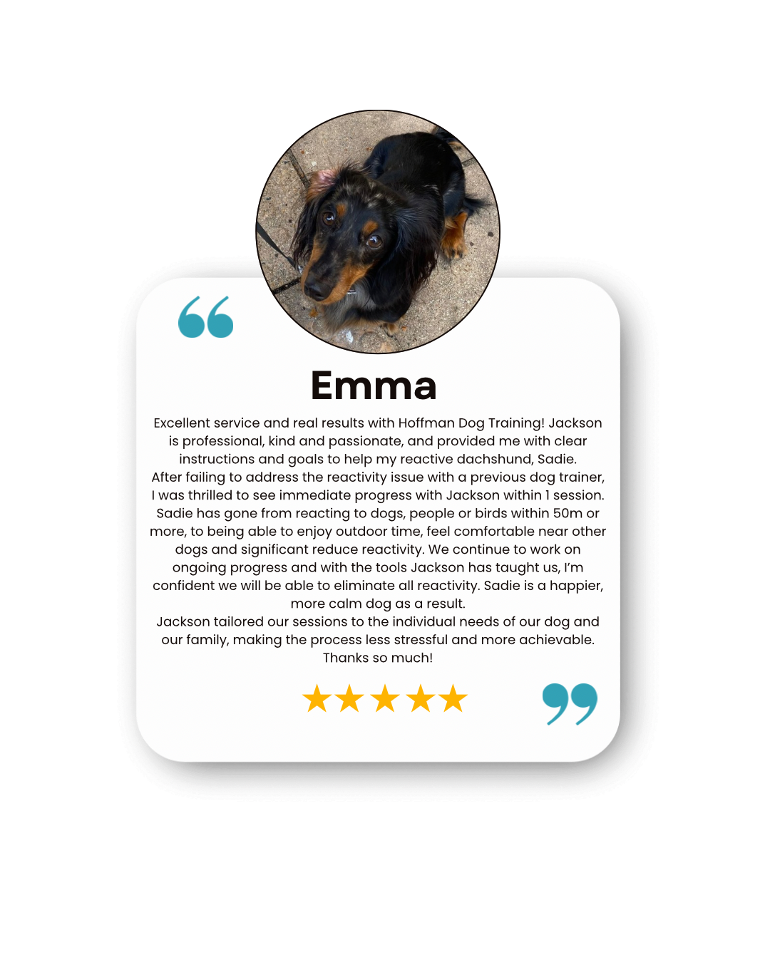 Customer testimonial card with photo of a black and tan dachshund named Emma, and five-star rating, praising Hoffman Dog Training for helping her react calmly and enjoy outdoor time.