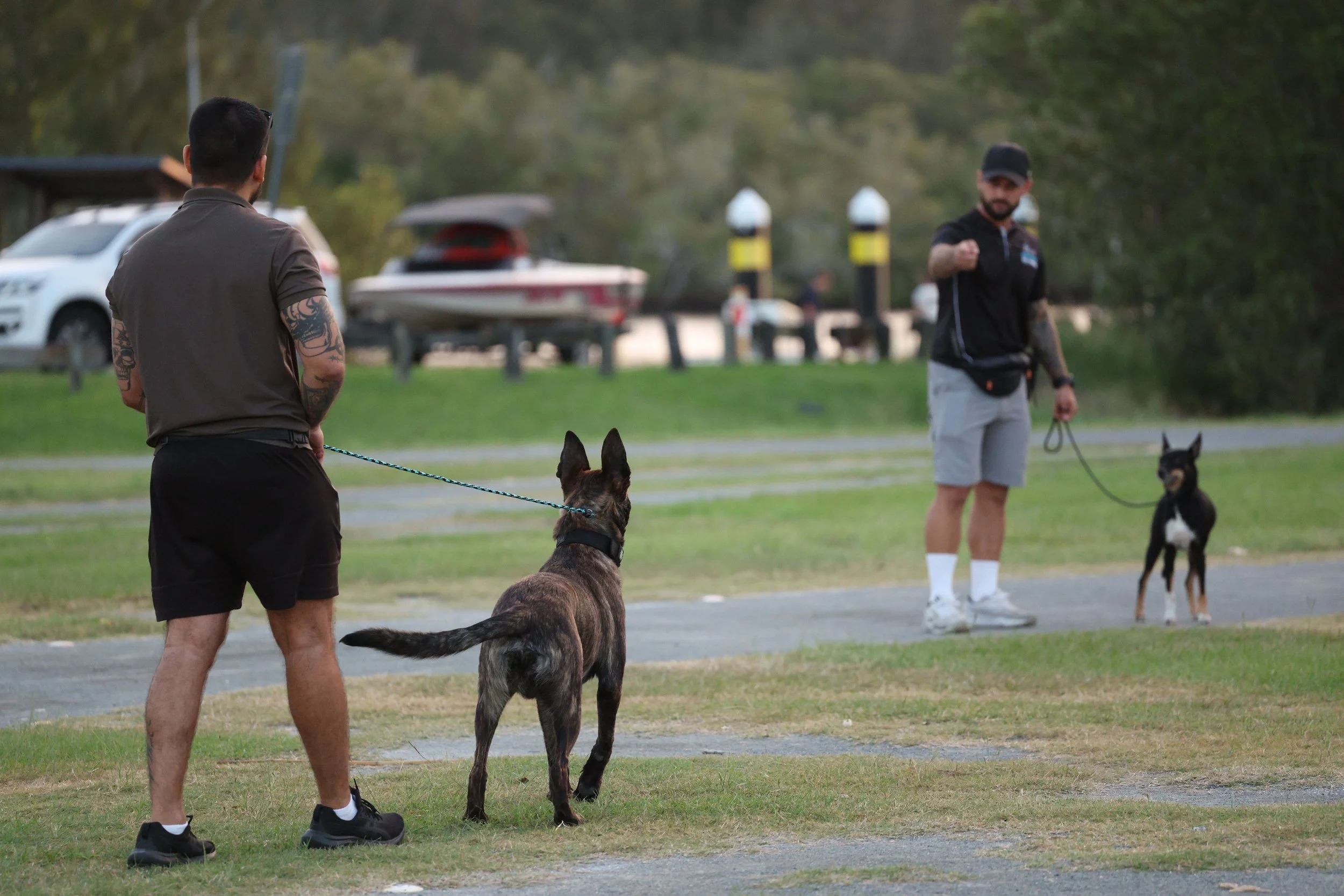 Real results, real support