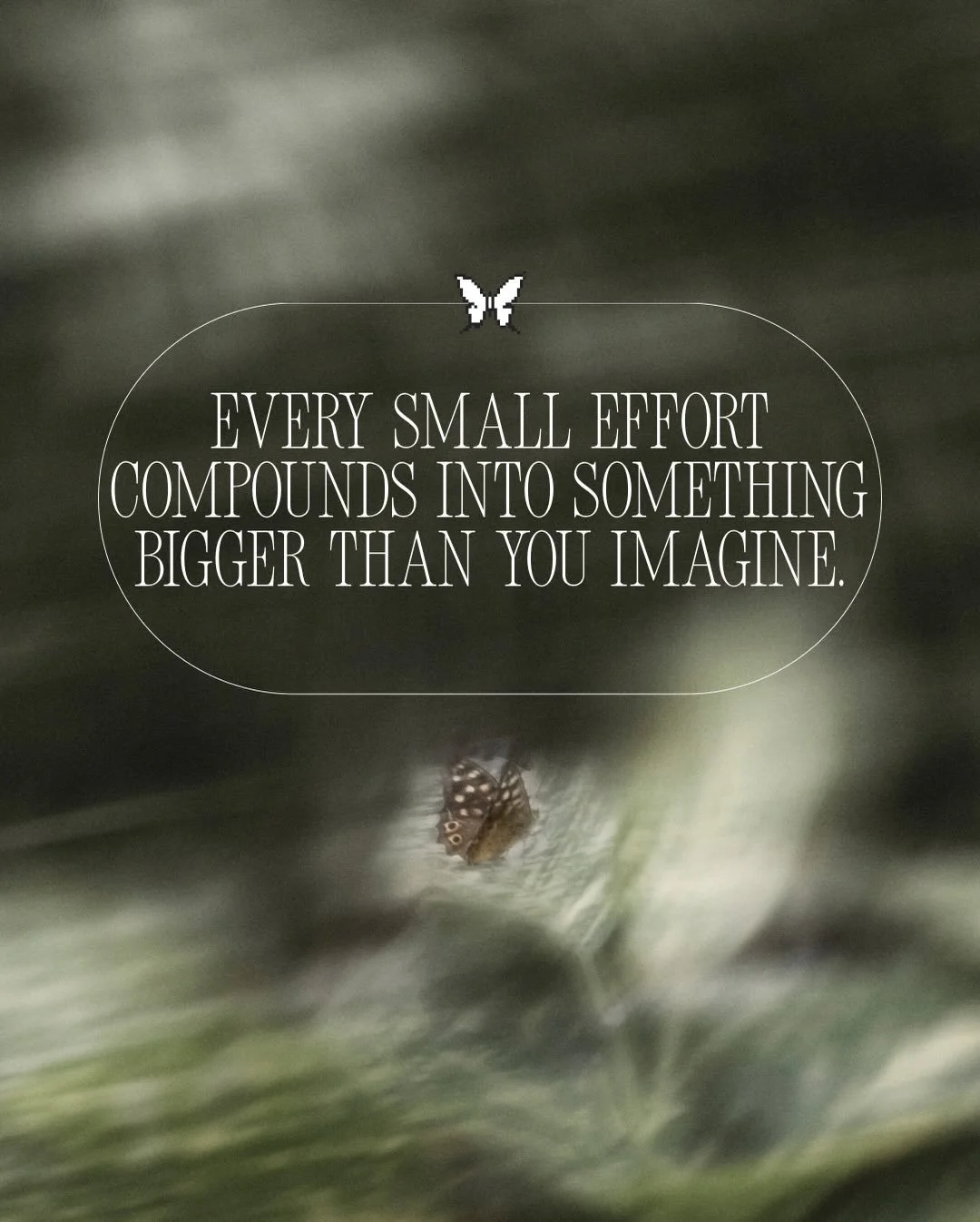 the garden is you, and *luck* is actually consistency 🌱