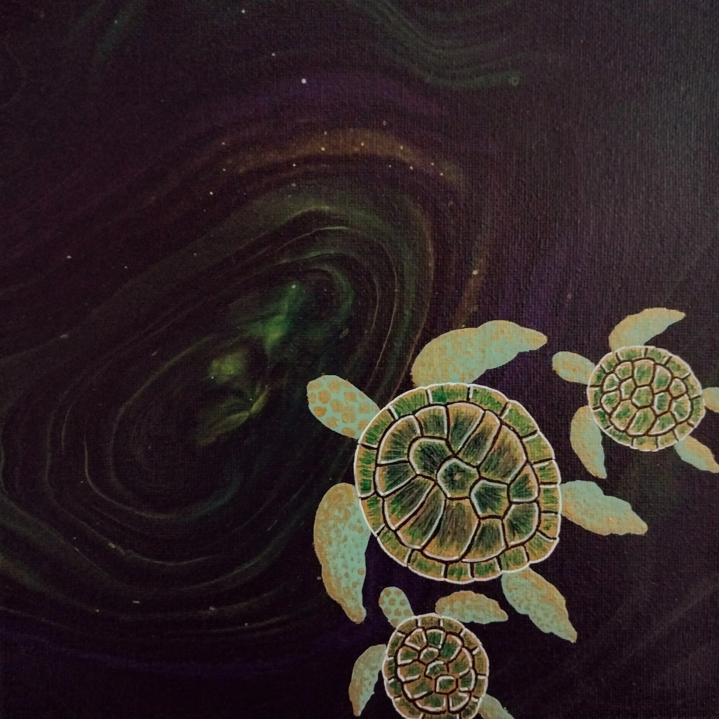 Three Turtles | 8x8 |