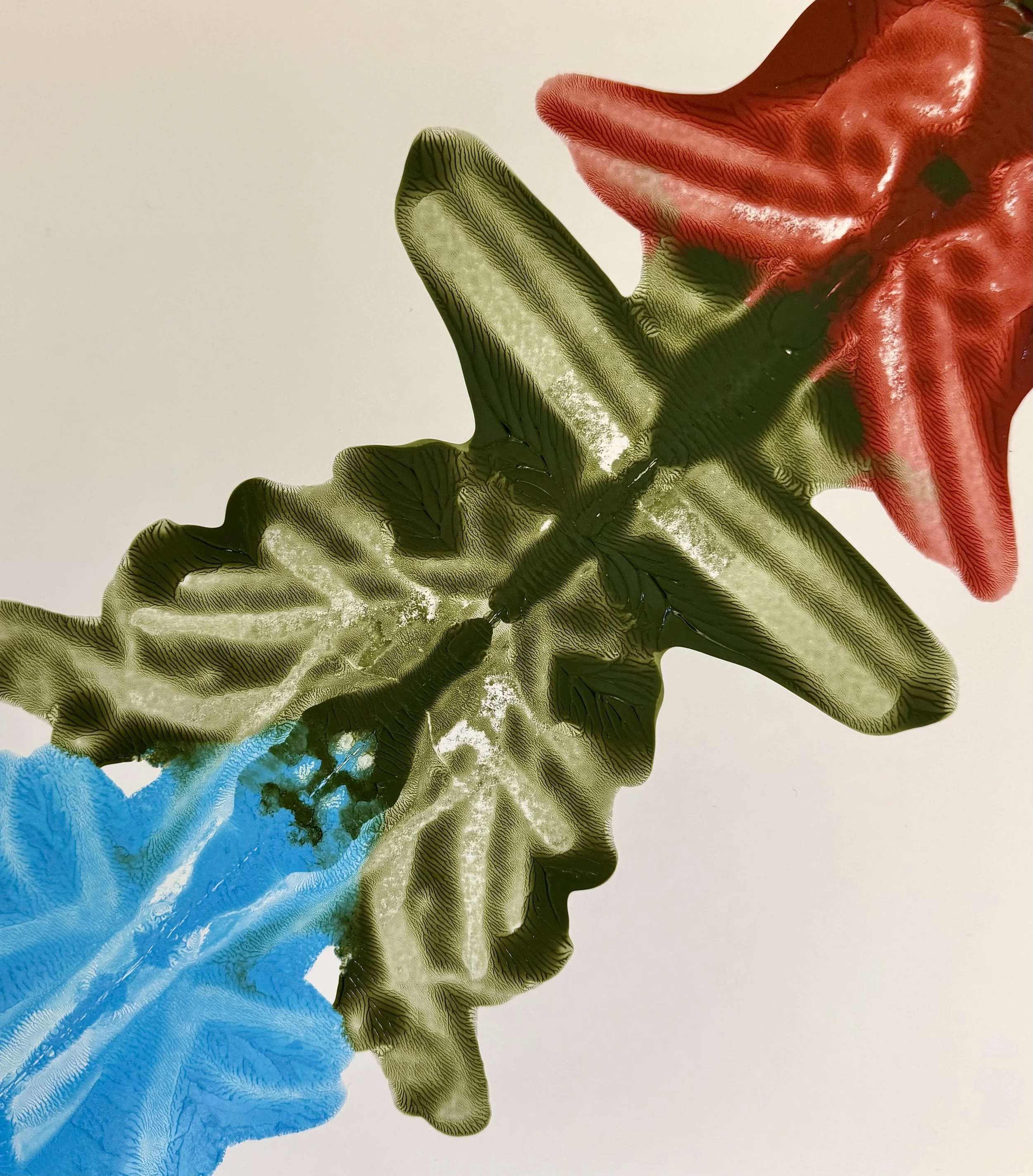 IMG_1086.jpeg