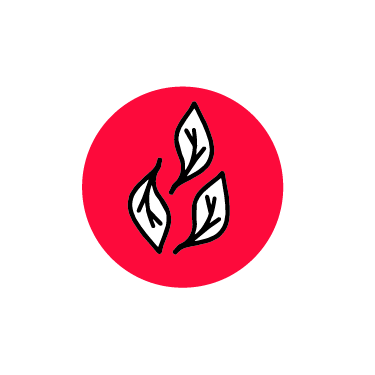 Schulbauoffensive-Icons-rot_Icons_Icons-01.png