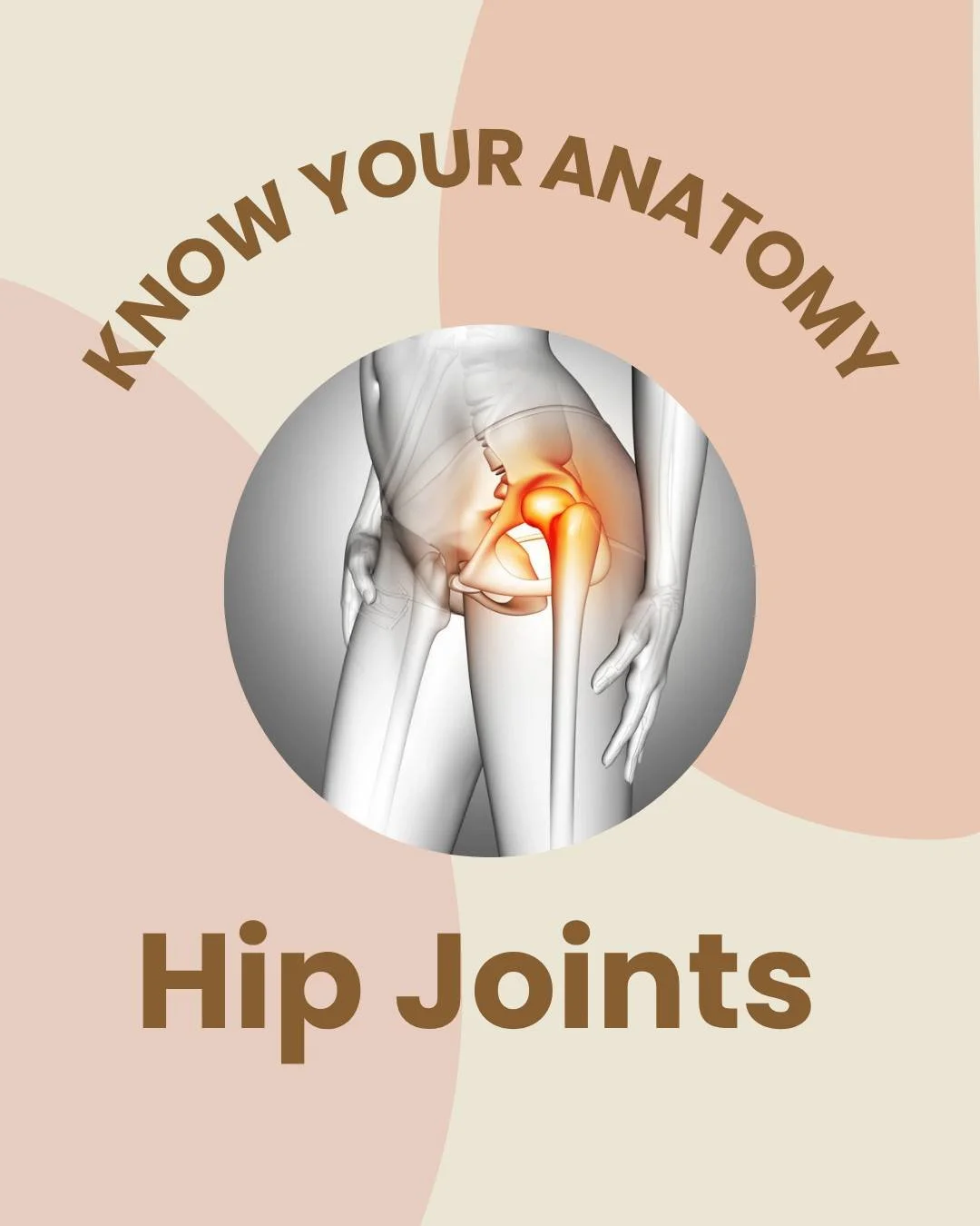 ✨ Know Your Anatomy: The Hips ✨
Your hips do so much more than help you walk, squat, or dance; they&rsquo;re powerful ball‑and‑socket joints designed for strength, stability, and smooth movement. 🦴💪

During pregnancy and labour, your hip joints pla